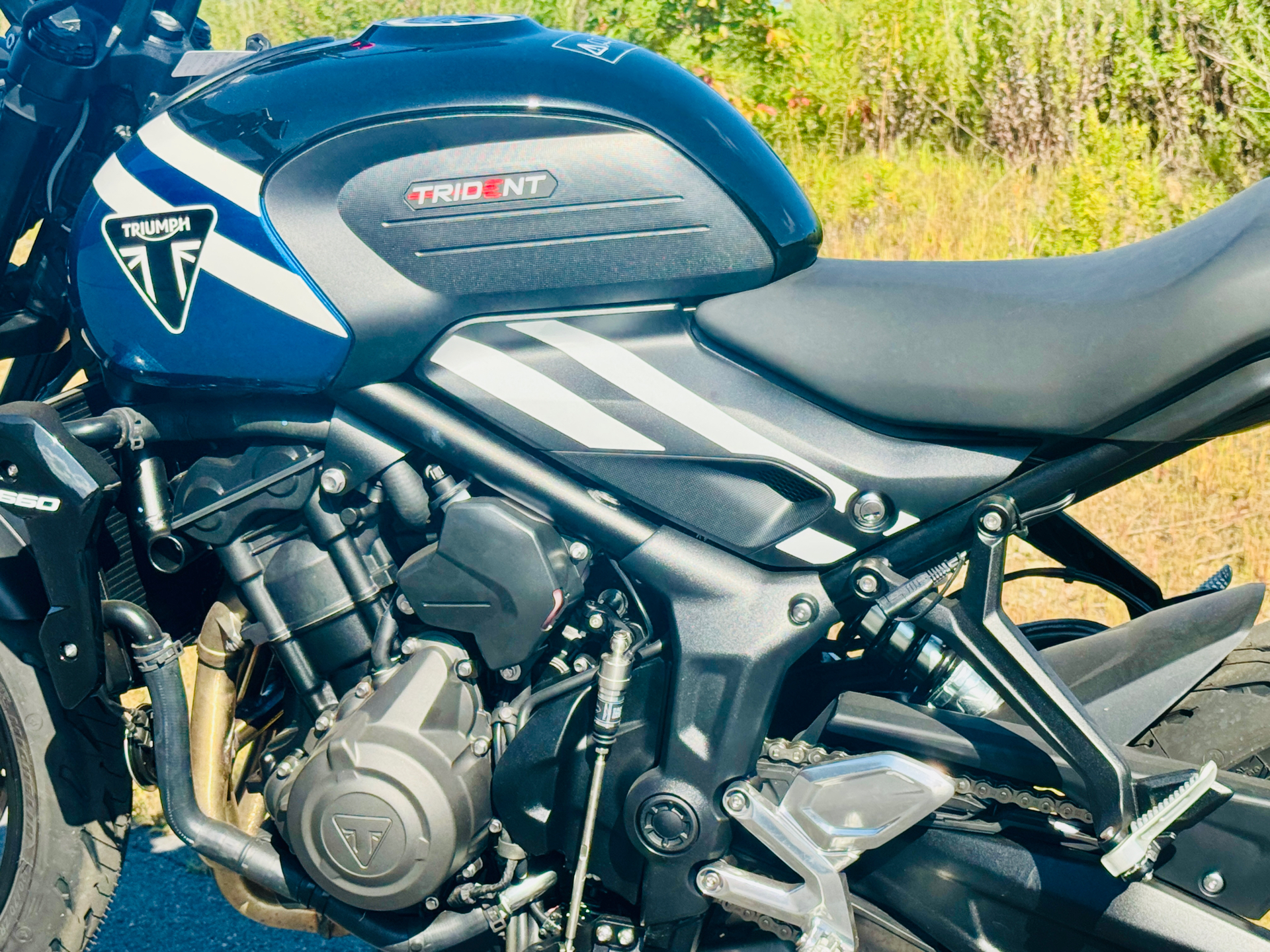 2025 Triumph Trident 660 in Foxboro, Massachusetts - Photo 9