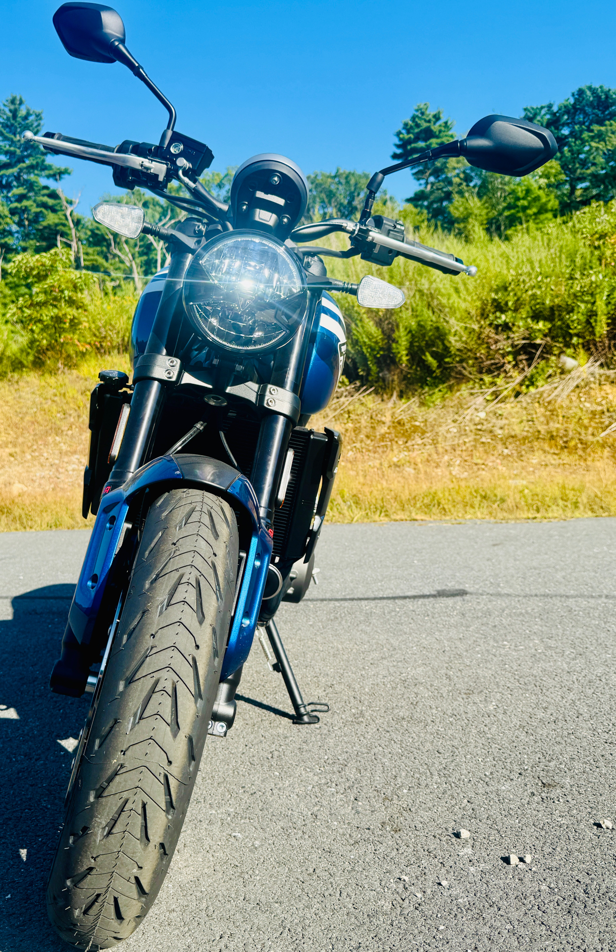 2025 Triumph Trident 660 in Foxboro, Massachusetts - Photo 14