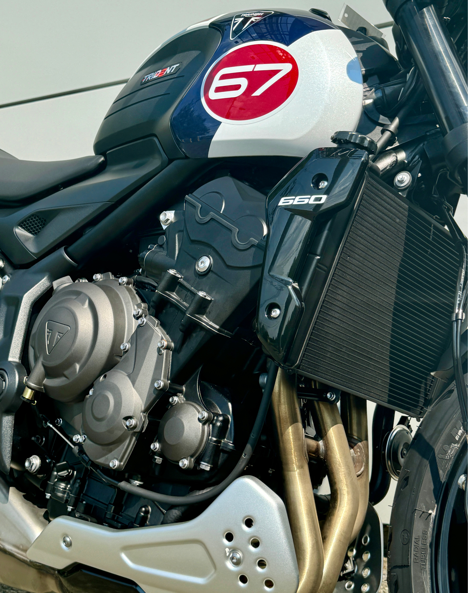 2025 Triumph Trident 660 Triple Tribute Edition in Foxboro, Massachusetts - Photo 13