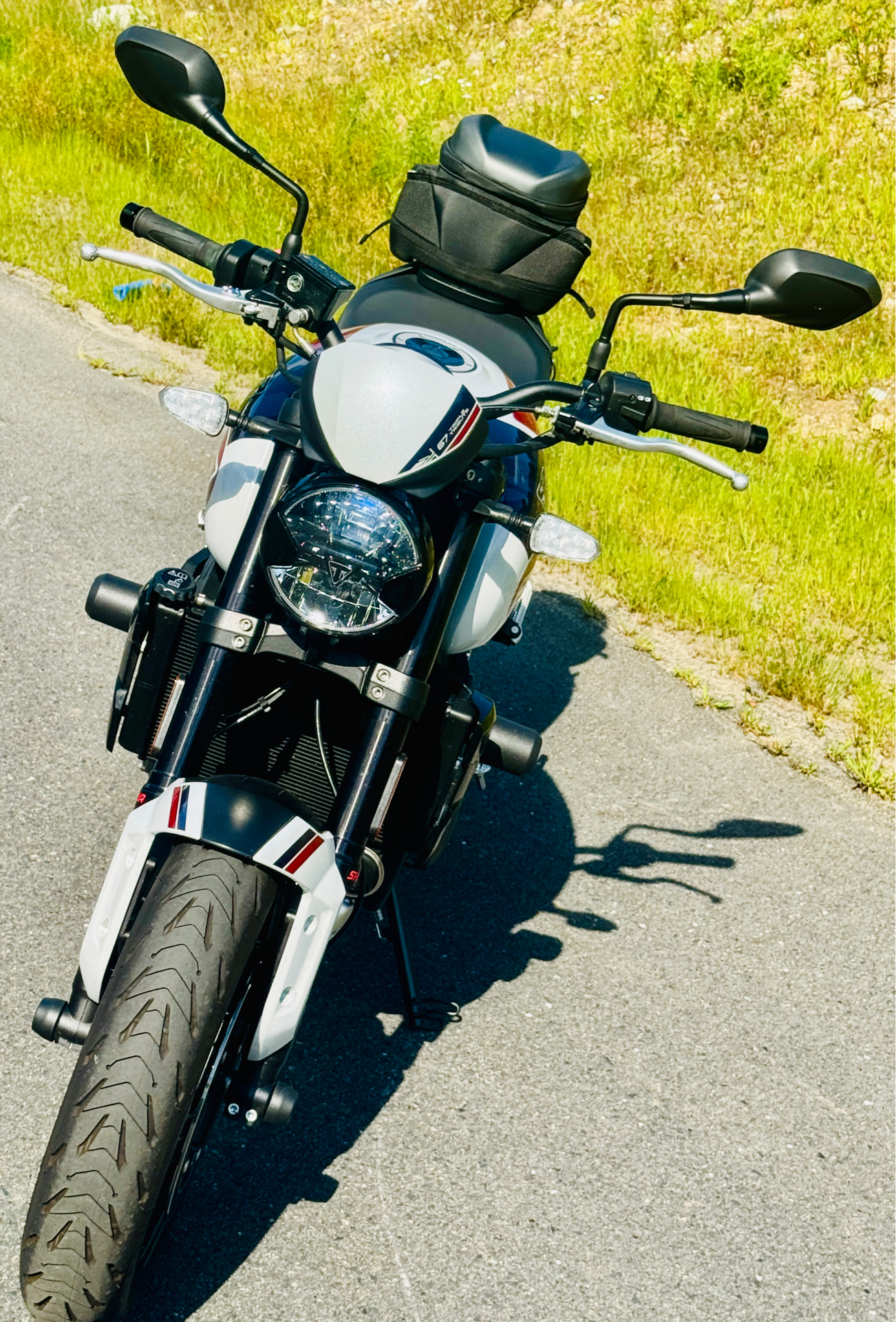 2025 Triumph Trident 660 Triple Tribute Edition in Foxboro, Massachusetts - Photo 3