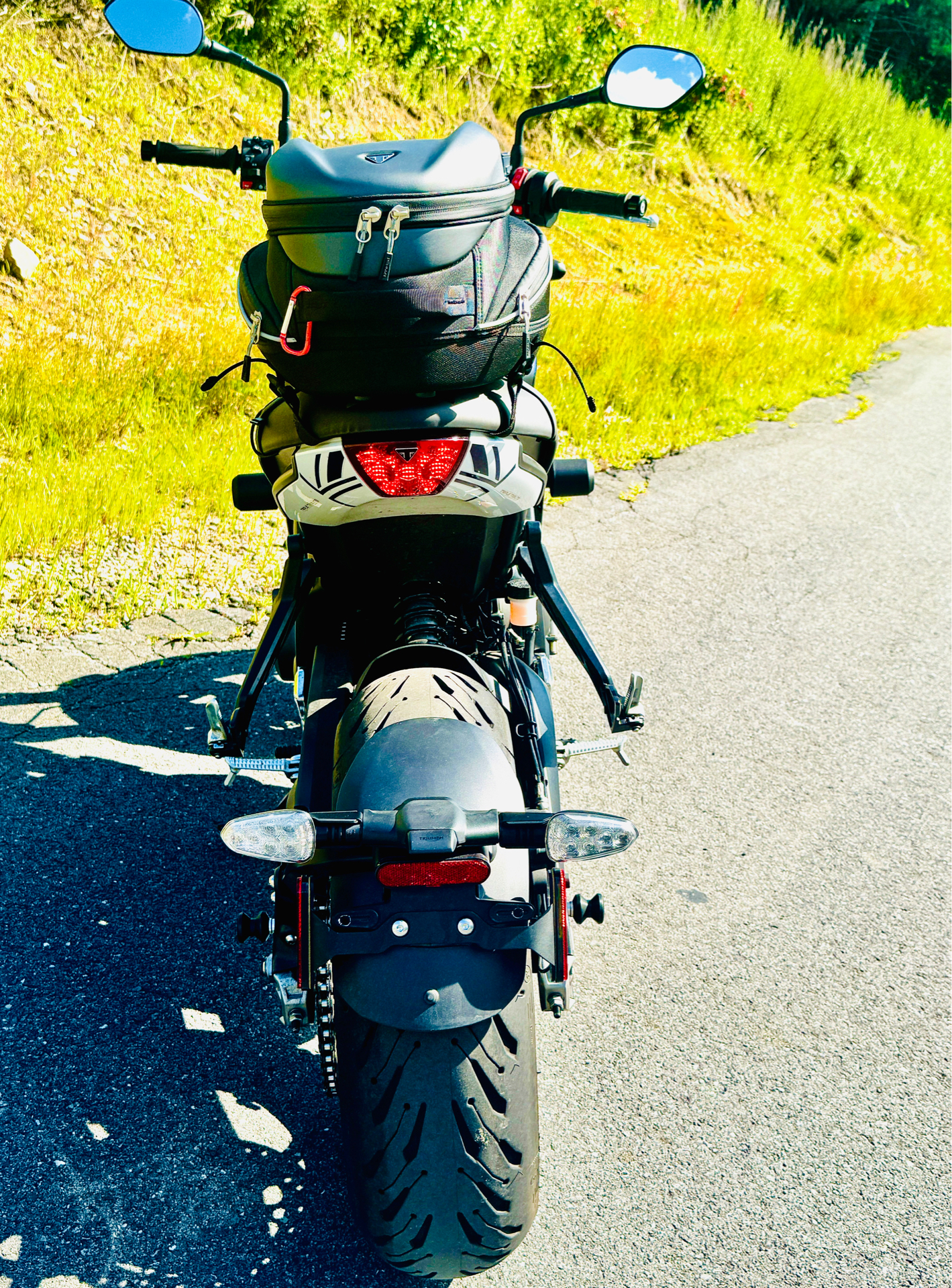 2025 Triumph Trident 660 Triple Tribute Edition in Foxboro, Massachusetts - Photo 15