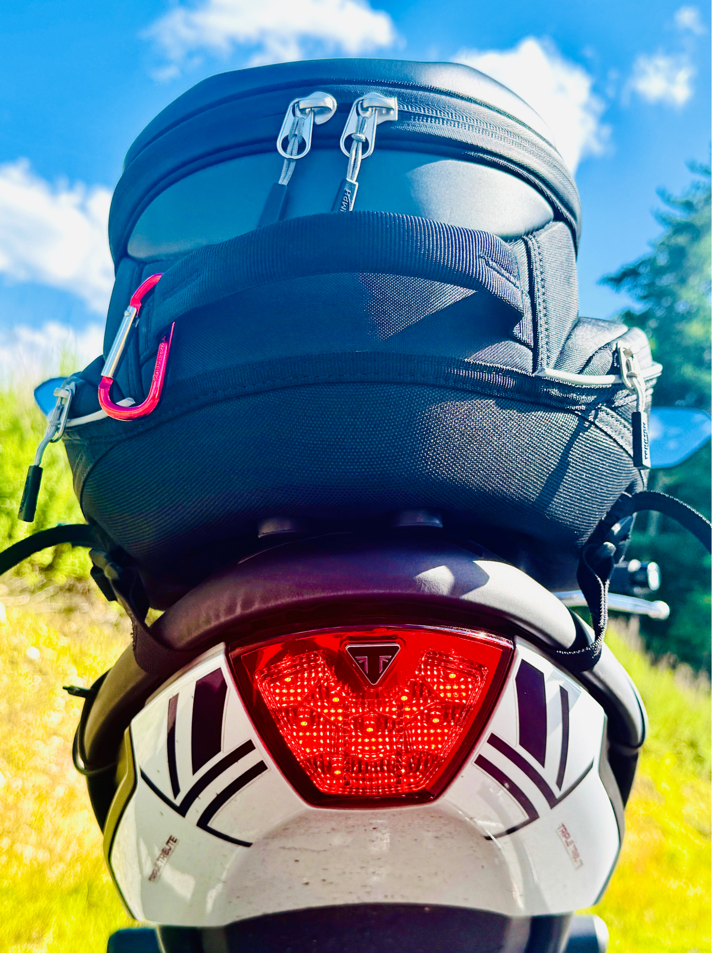 2025 Triumph Trident 660 Triple Tribute Edition in Foxboro, Massachusetts - Photo 4