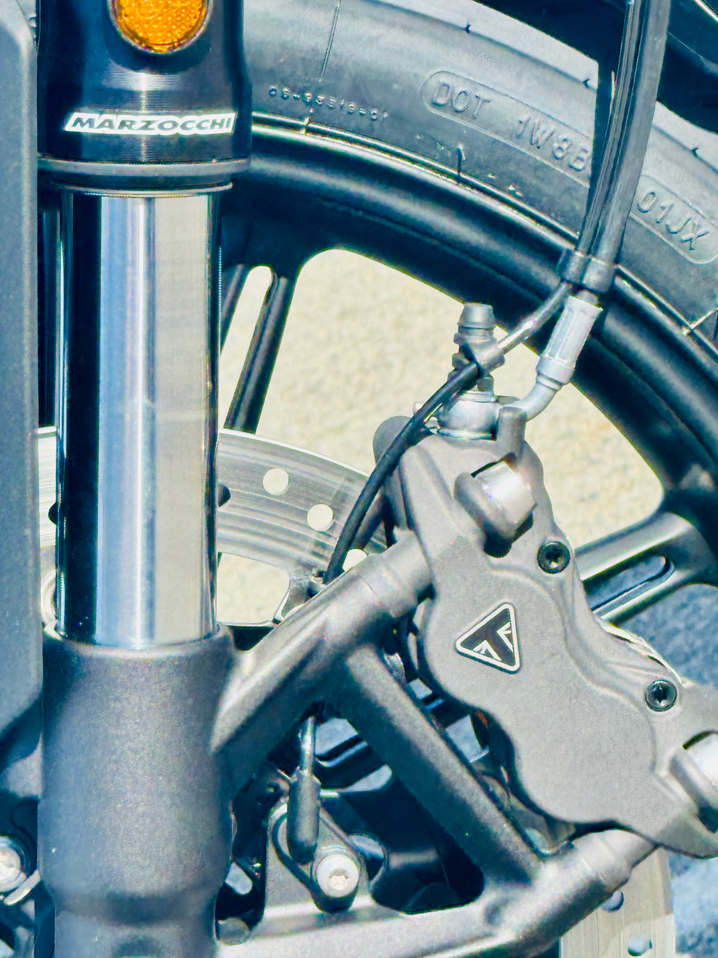 2025 Triumph Speed Twin 900 in Foxboro, Massachusetts - Photo 4