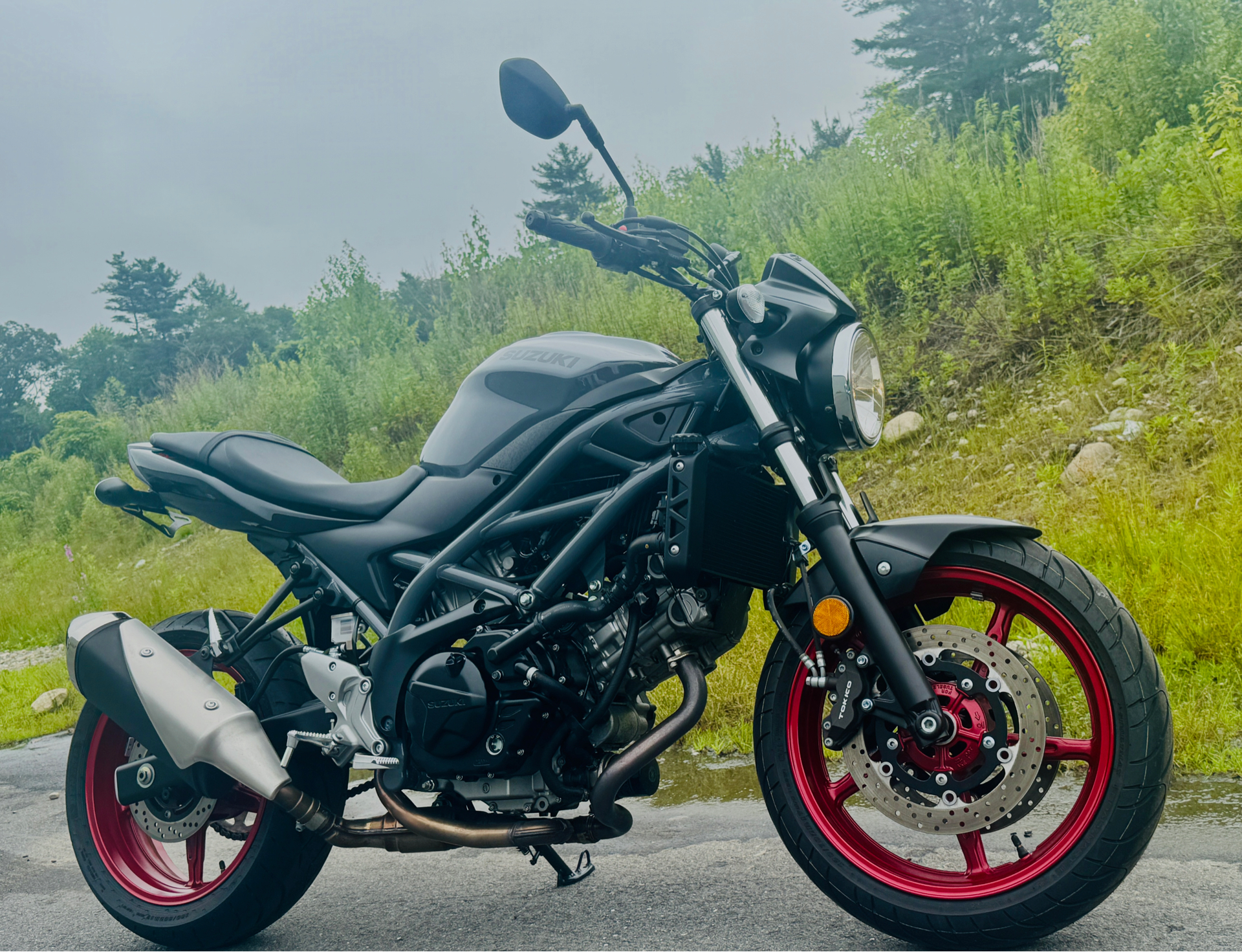 2023 Suzuki SV650 in Foxboro, Massachusetts - Photo 1