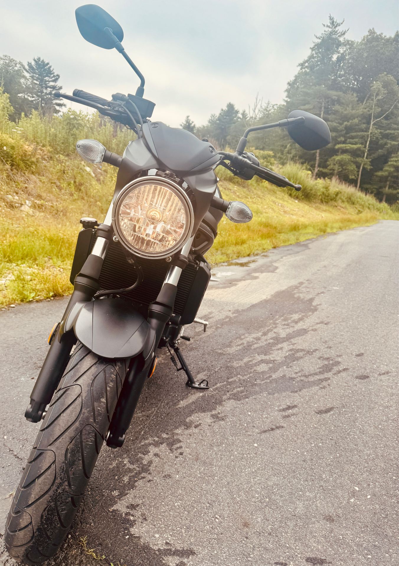 2023 Suzuki SV650 in Foxboro, Massachusetts - Photo 11
