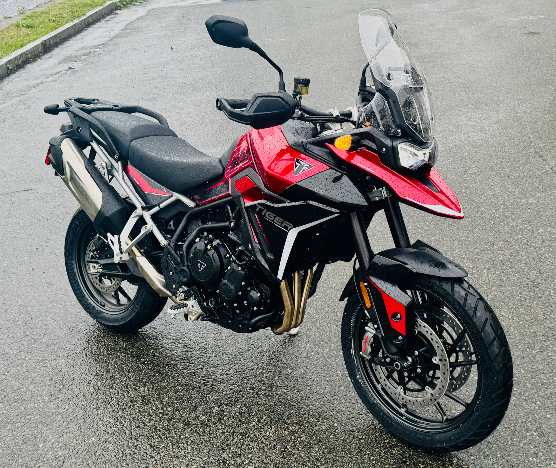 2024 Triumph Tiger 900 GT in Foxboro, Massachusetts - Photo 1