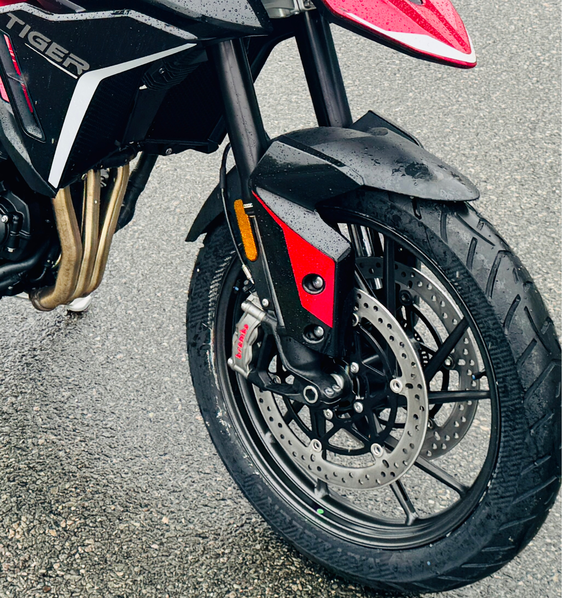 2024 Triumph Tiger 900 GT in Foxboro, Massachusetts - Photo 19
