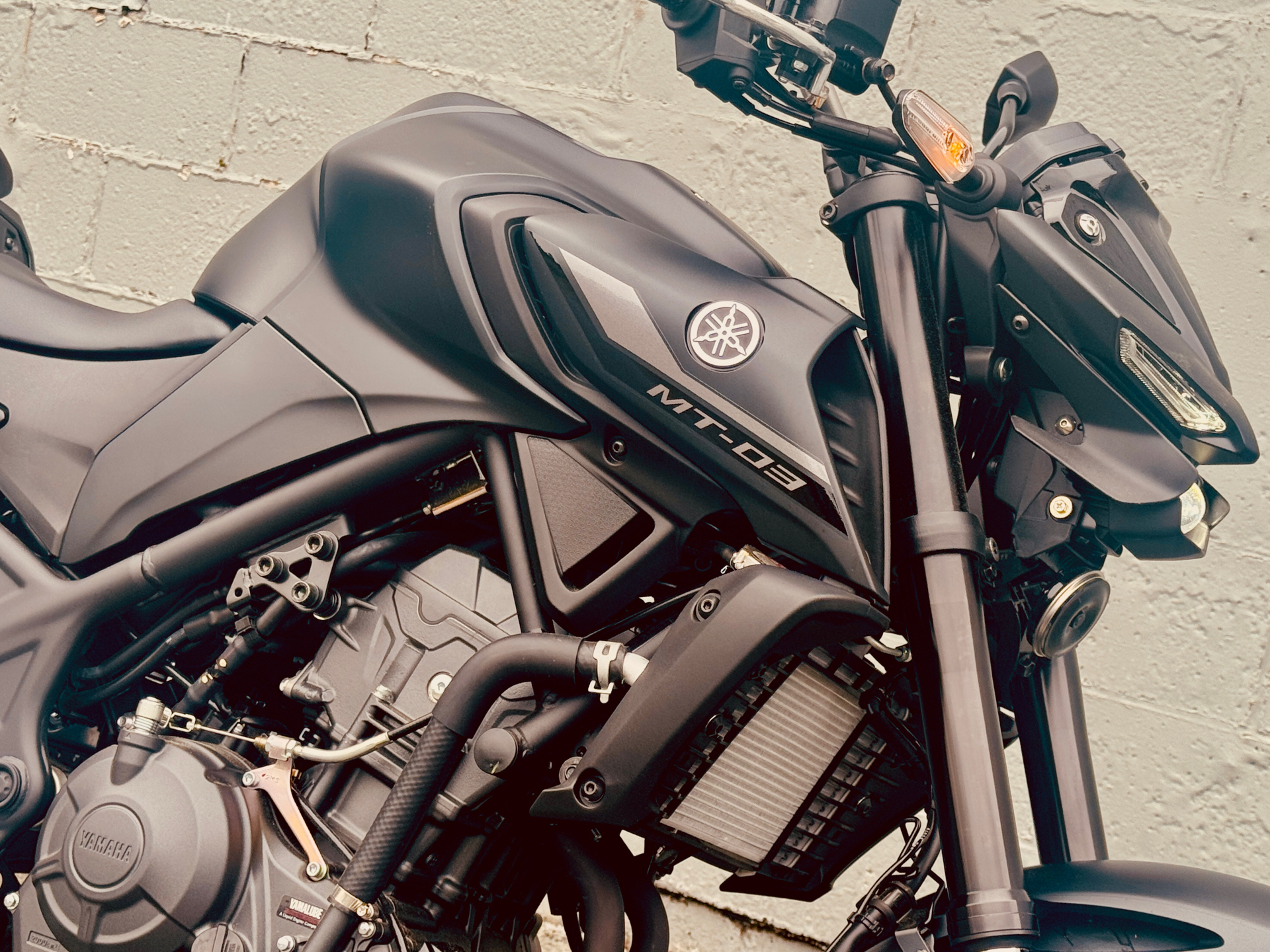 2025 Yamaha MT-03 in Foxboro, Massachusetts - Photo 21
