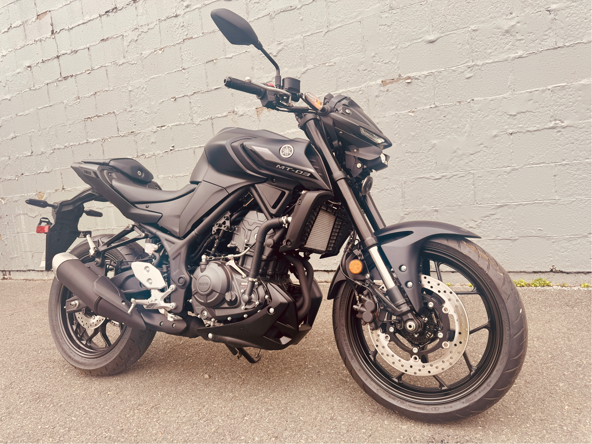 2025 Yamaha MT-03 in Foxboro, Massachusetts - Photo 17