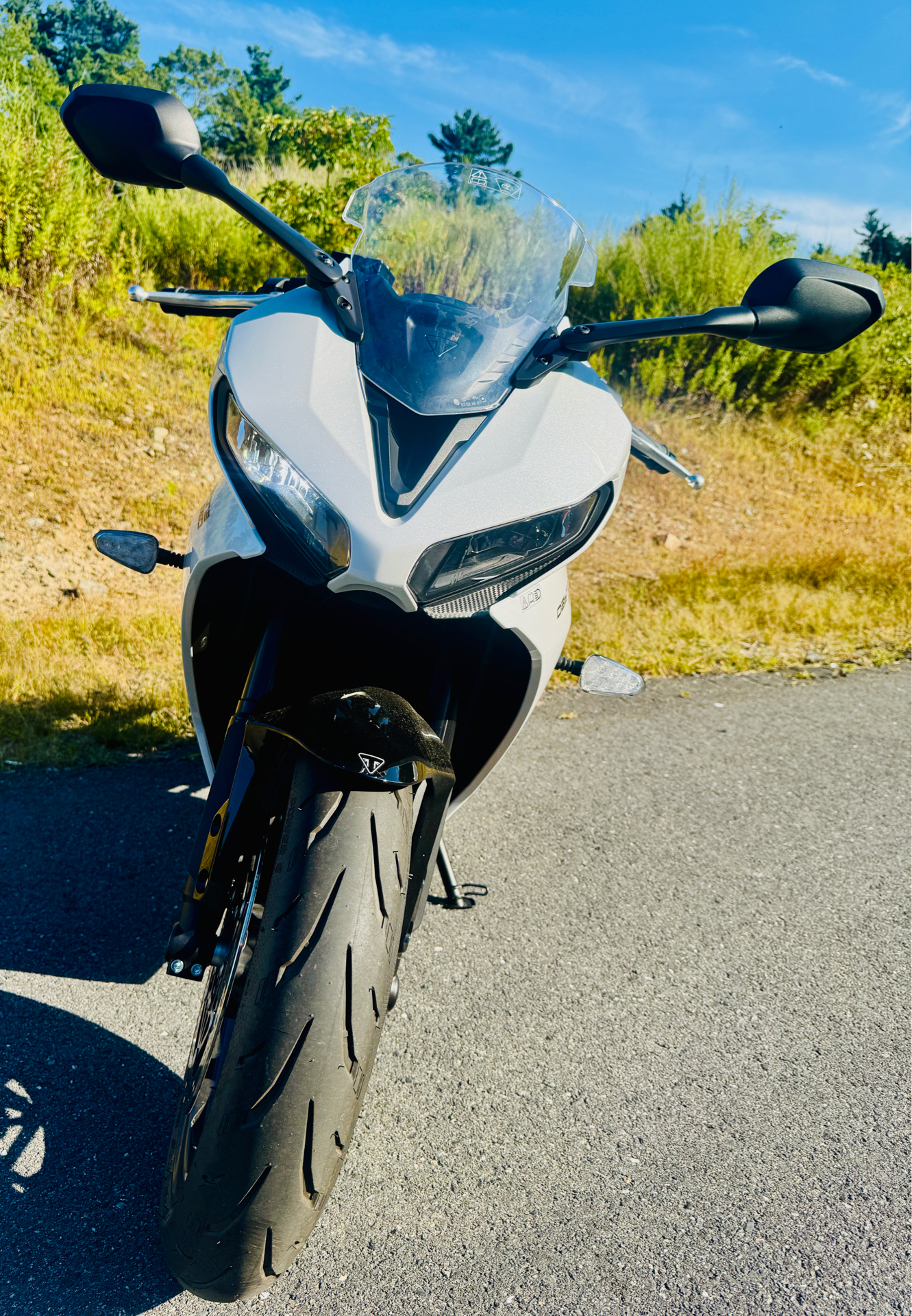 2025 Triumph Daytona 660 in Foxboro, Massachusetts - Photo 14