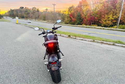 2024 Triumph Trident 660 in Foxboro, Massachusetts - Photo 14
