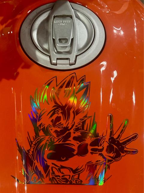 2019 Ducati Scrambler Icon in Foxboro, Massachusetts - Photo 24