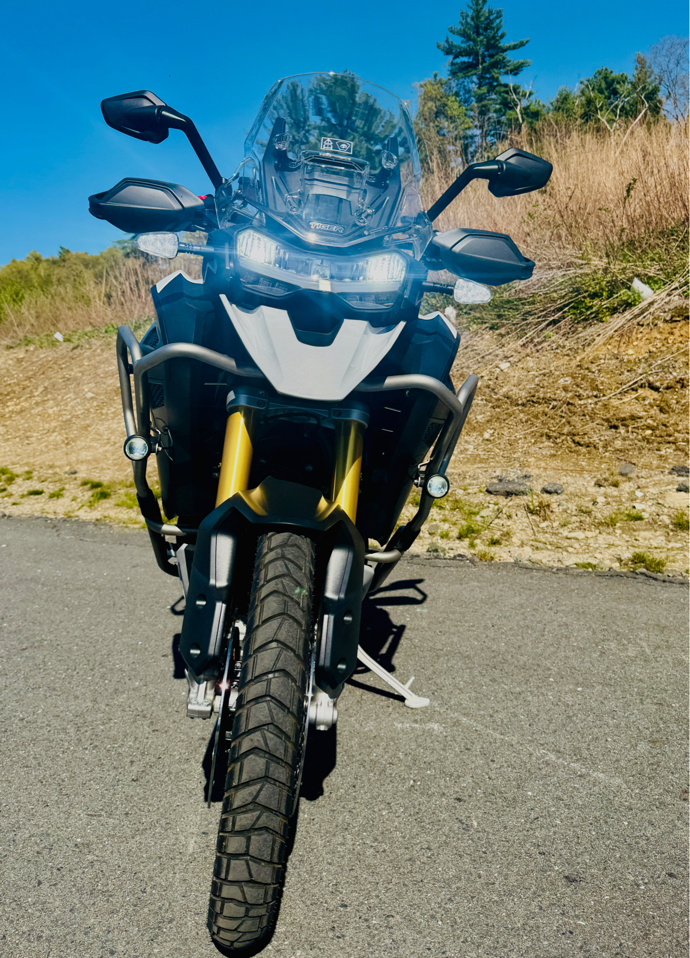 2023 Triumph Tiger 1200 Rally Explorer with APR in Foxboro, Massachusetts - Photo 3