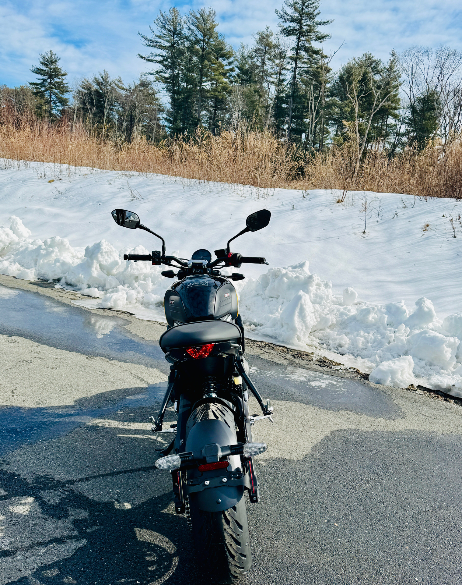 2025 Triumph Trident 660 in Foxboro, Massachusetts - Photo 7