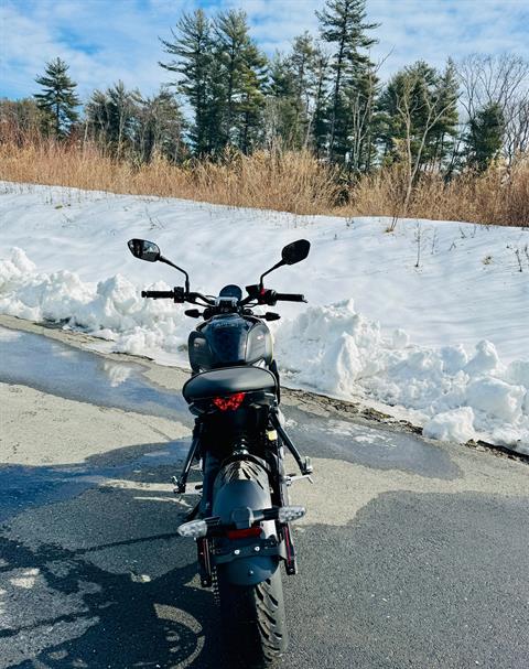 2025 Triumph Trident 660 in Foxboro, Massachusetts - Photo 7