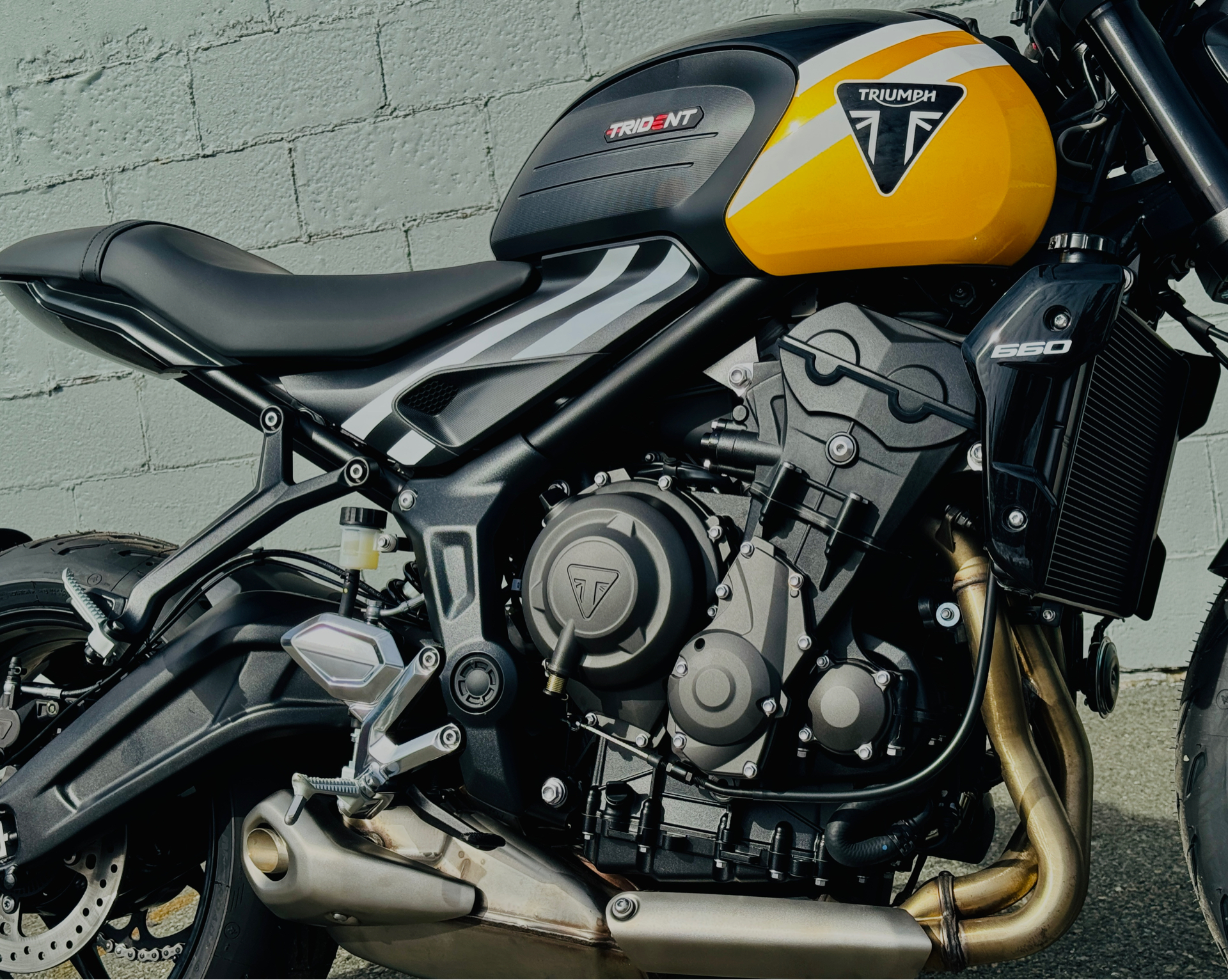 2025 Triumph Trident 660 in Foxboro, Massachusetts - Photo 10