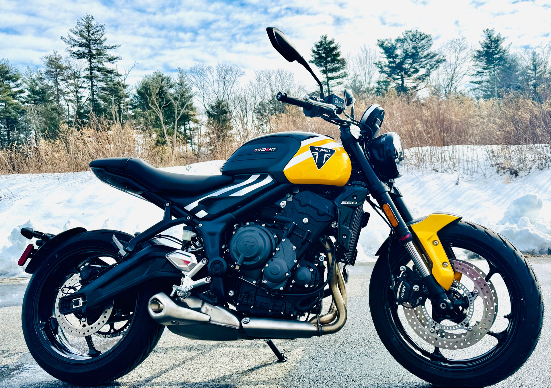 2025 Triumph Trident 660 in Foxboro, Massachusetts - Photo 1