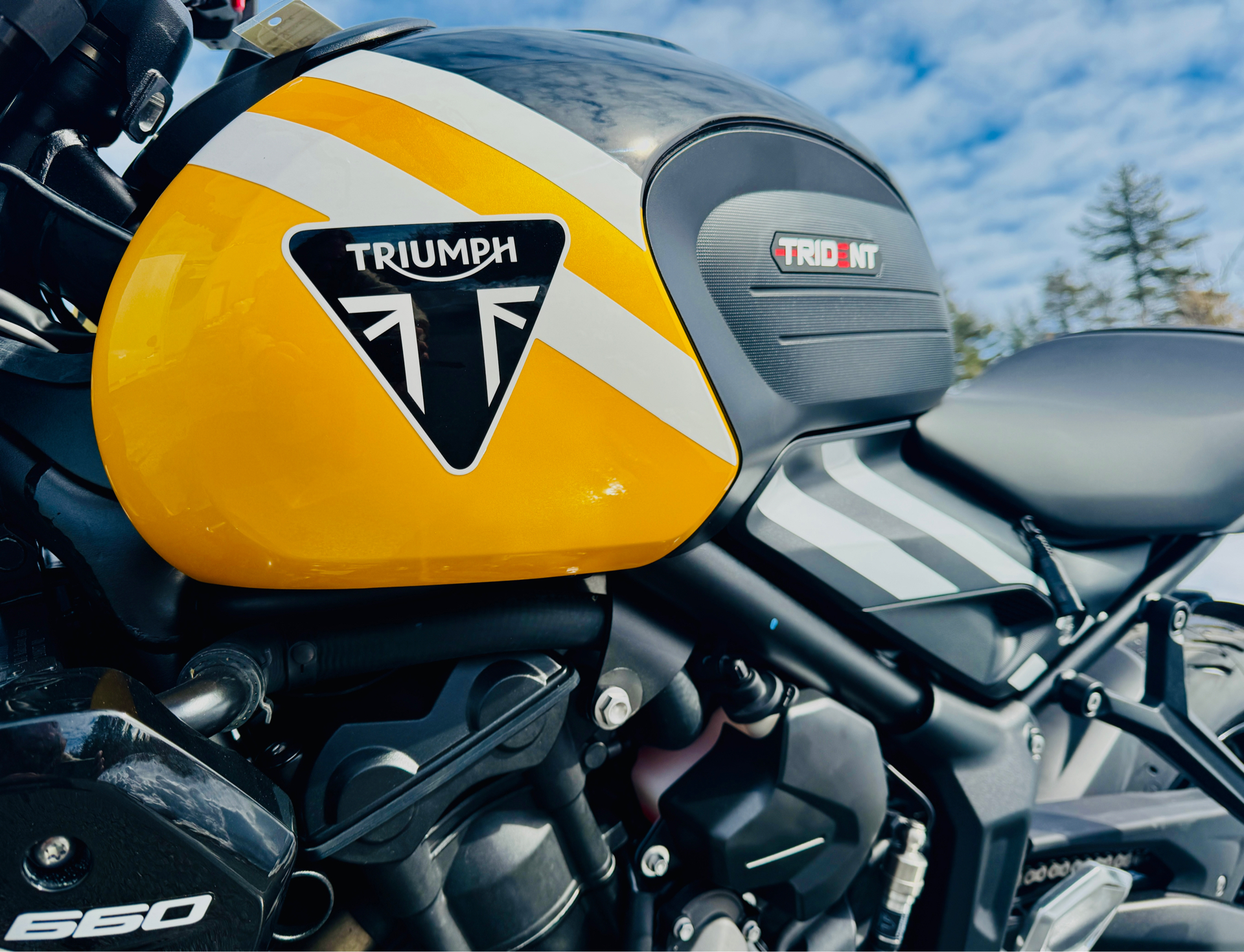 2025 Triumph Trident 660 in Foxboro, Massachusetts - Photo 23