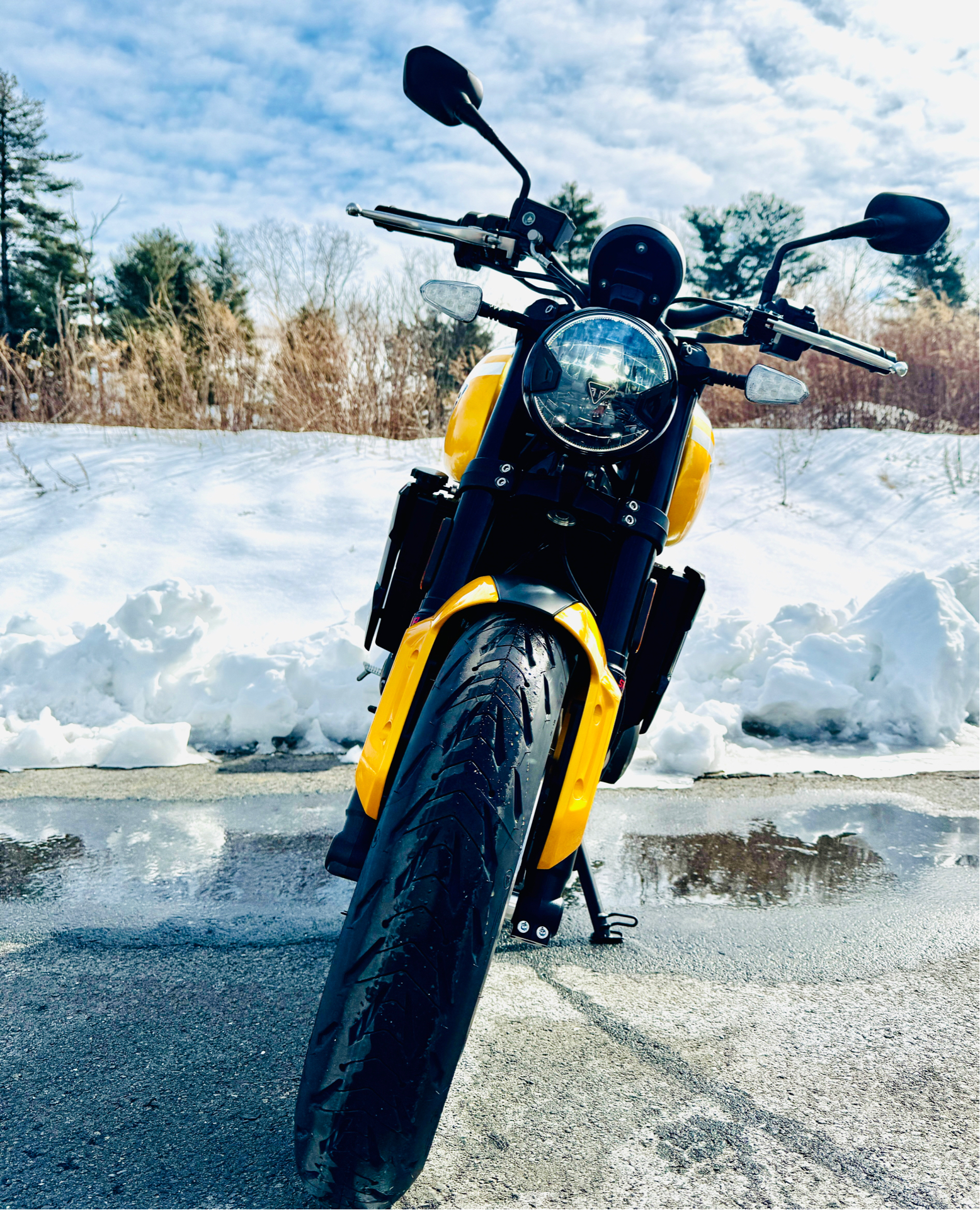 2025 Triumph Trident 660 in Foxboro, Massachusetts - Photo 15