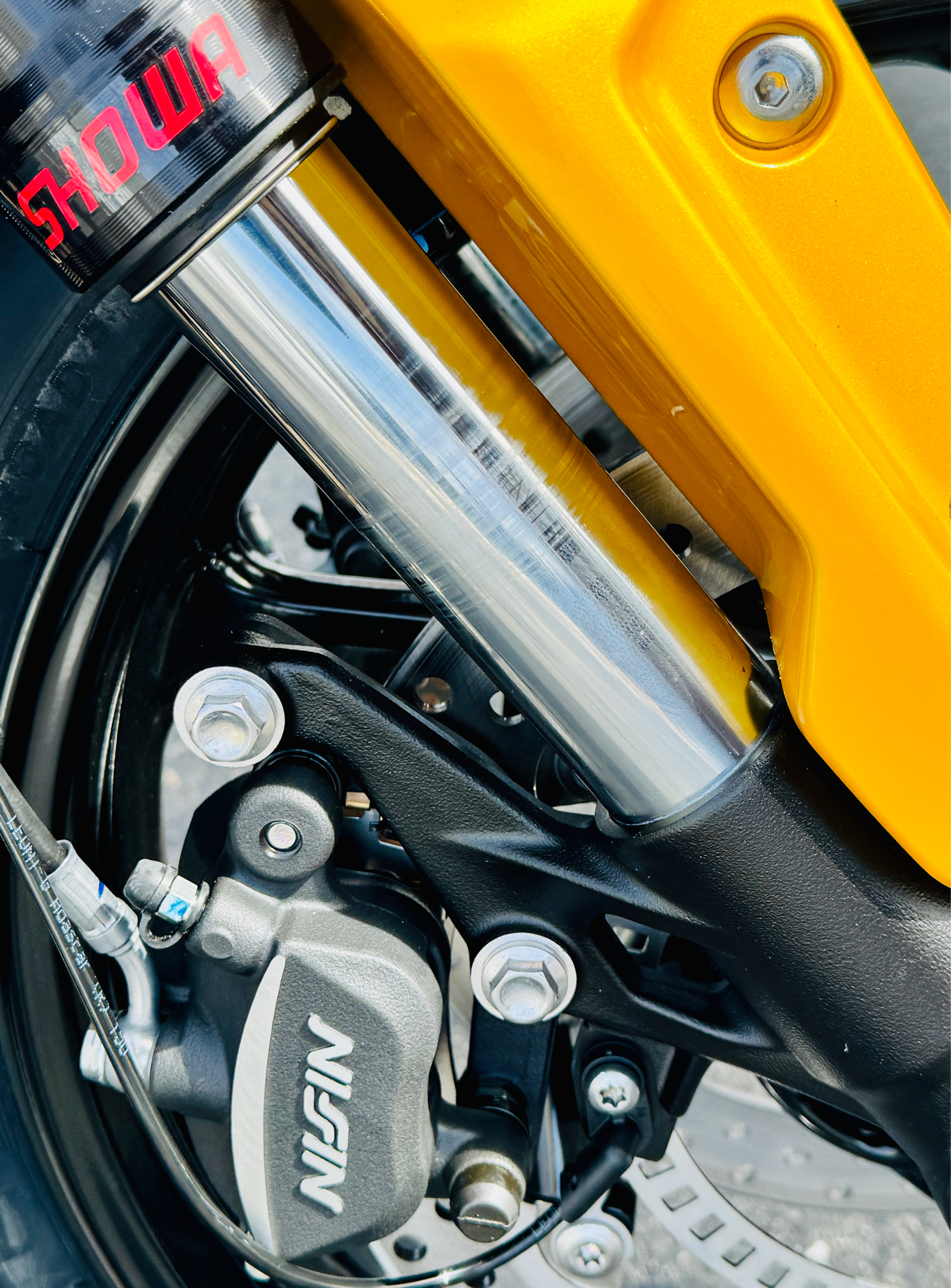 2025 Triumph Trident 660 in Foxboro, Massachusetts - Photo 2