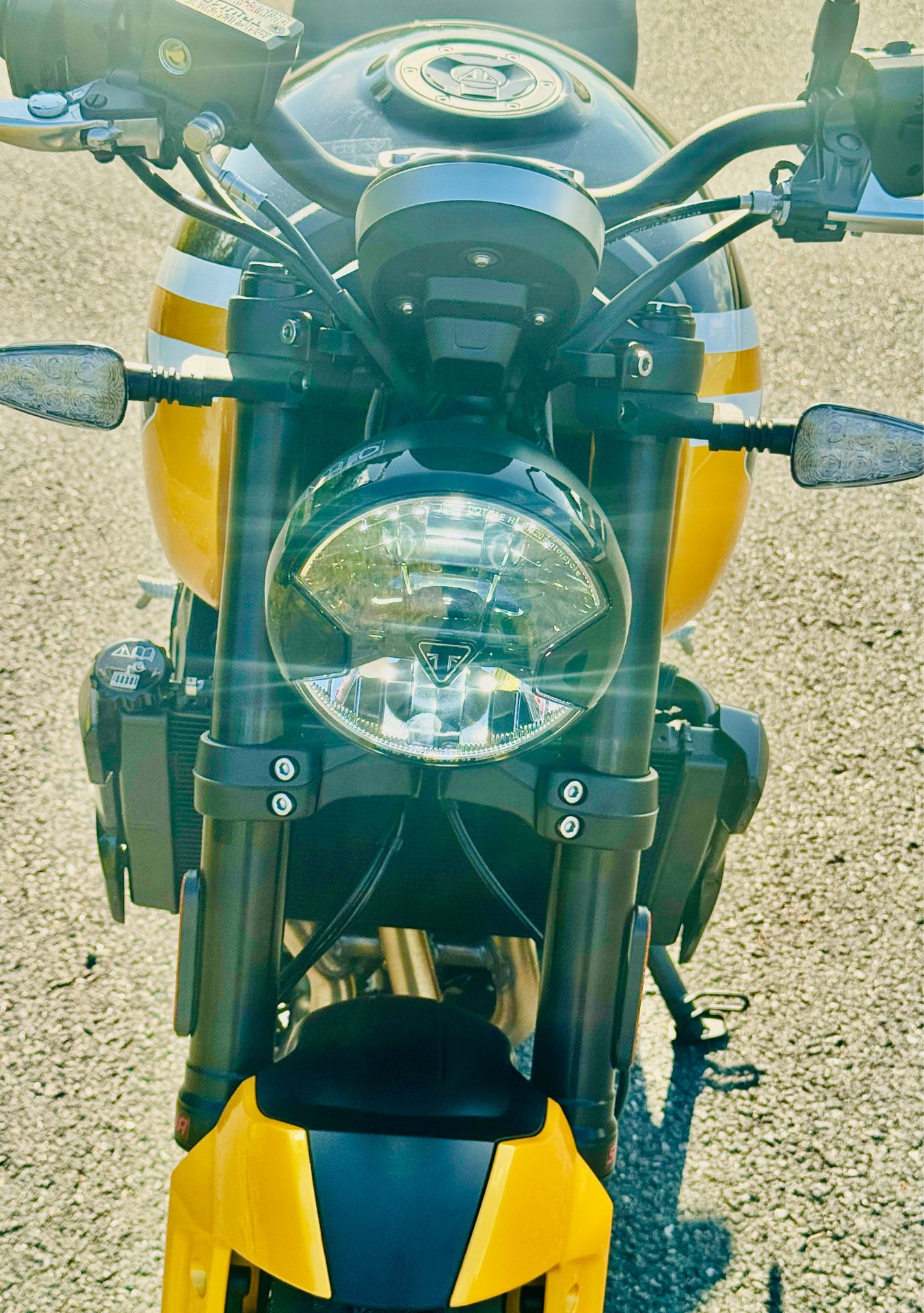 2025 Triumph Trident 660 in Foxboro, Massachusetts - Photo 12