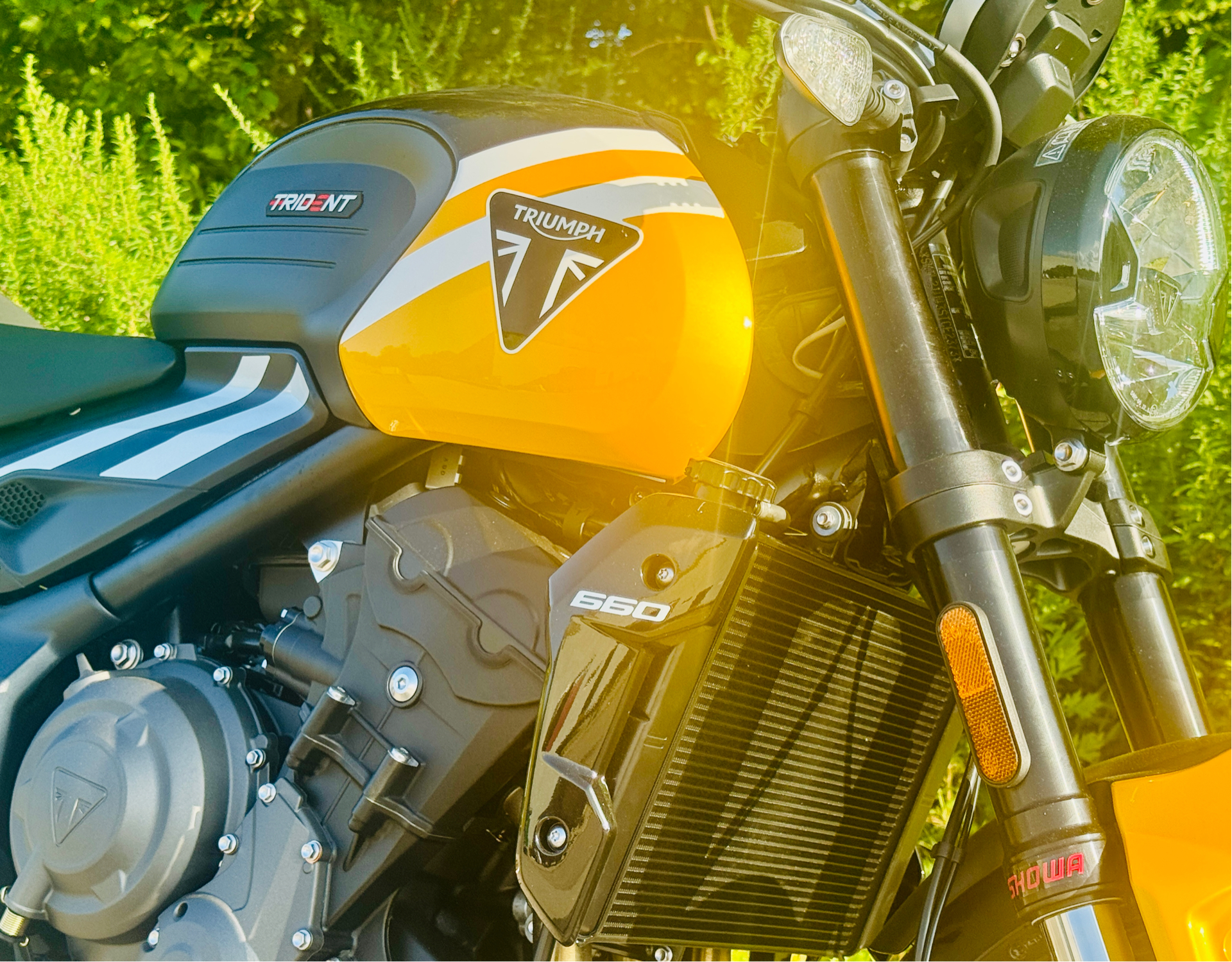 2025 Triumph Trident 660 in Foxboro, Massachusetts - Photo 24