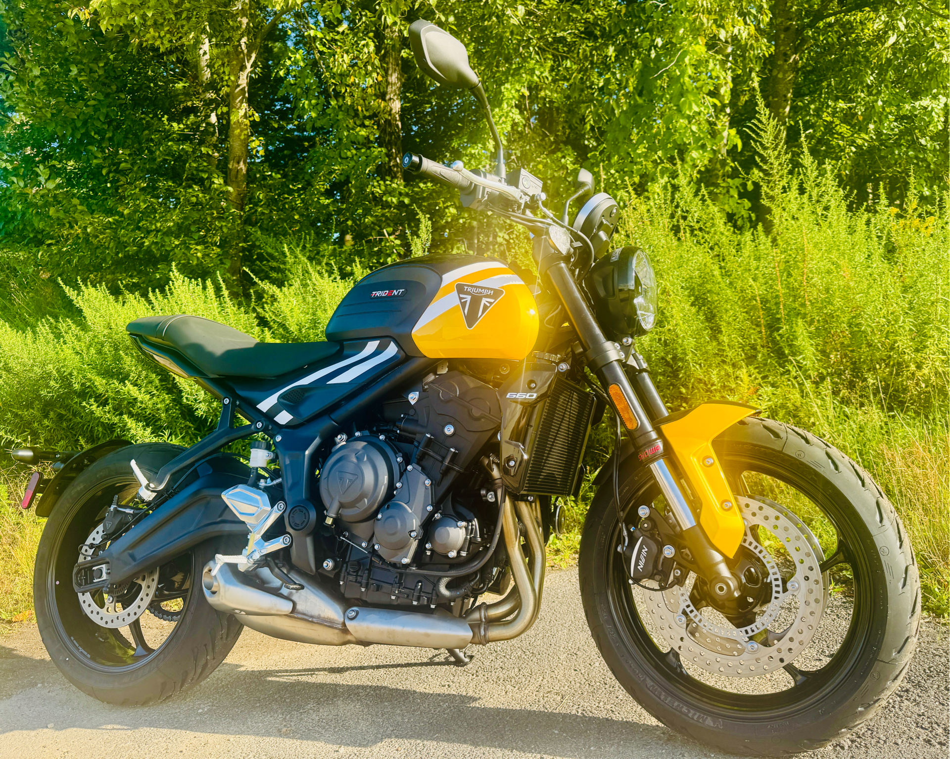 2025 Triumph Trident 660 in Foxboro, Massachusetts - Photo 3