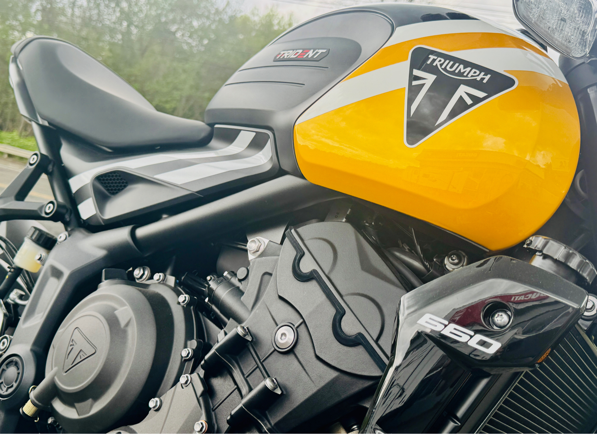 2025 Triumph Trident 660 in Foxboro, Massachusetts - Photo 13