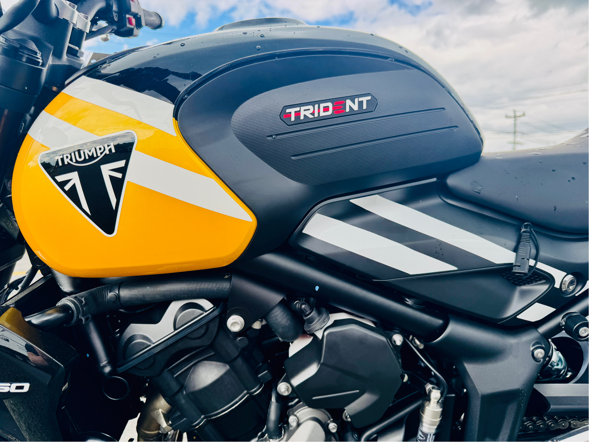2025 Triumph Trident 660 in Foxboro, Massachusetts - Photo 8