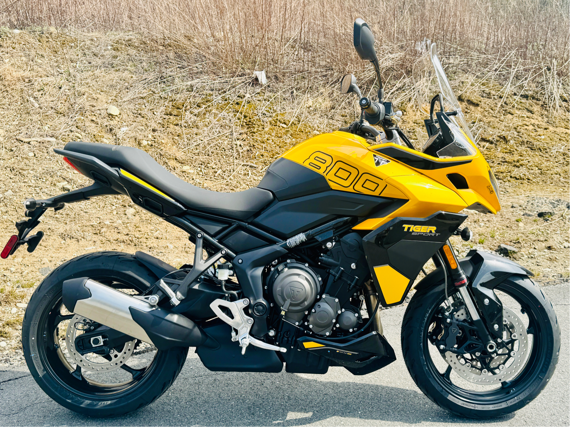 2025 Triumph Tiger Sport 800 in Foxboro, Massachusetts - Photo 7