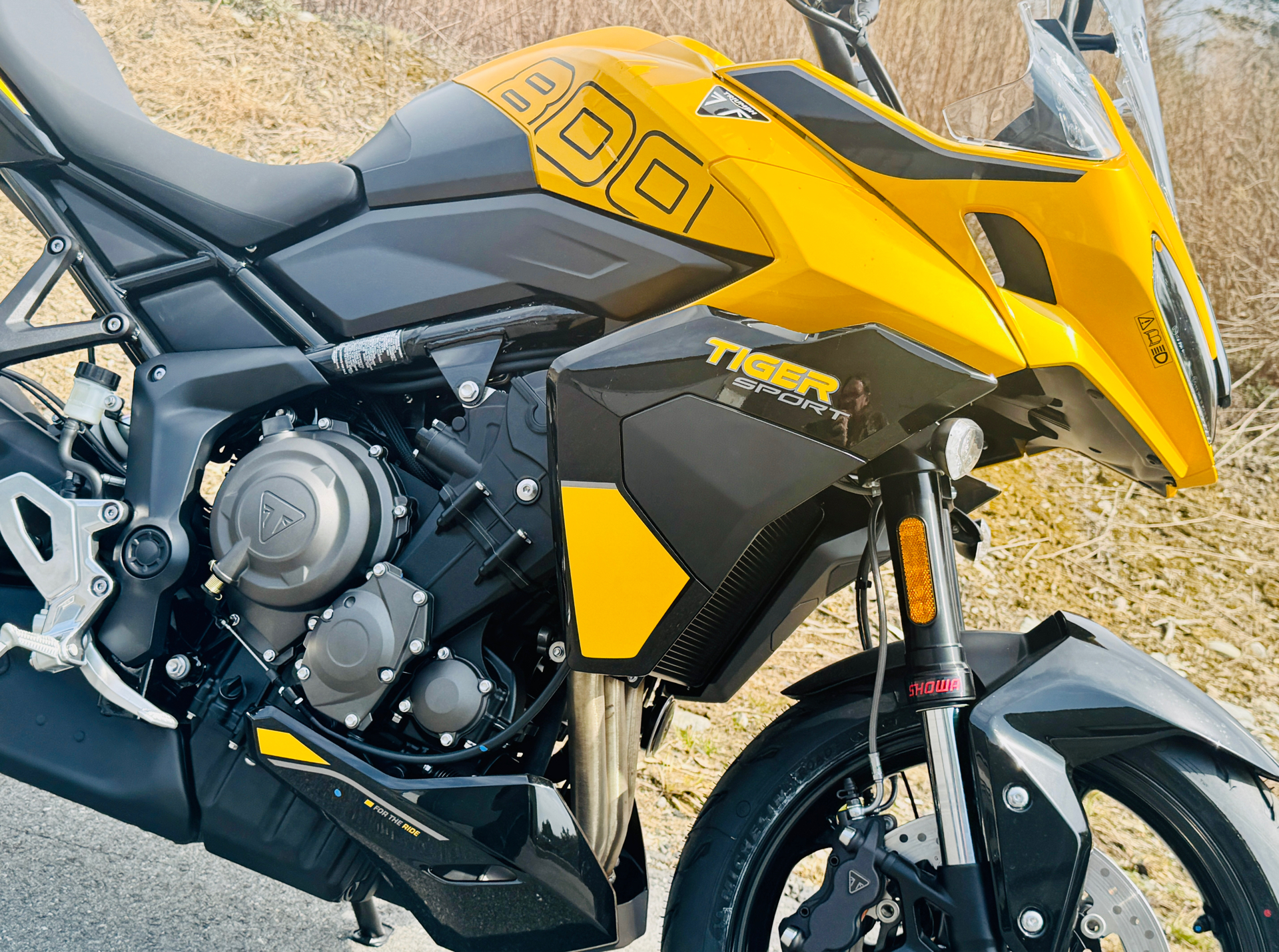 2025 Triumph Tiger Sport 800 in Foxboro, Massachusetts - Photo 14