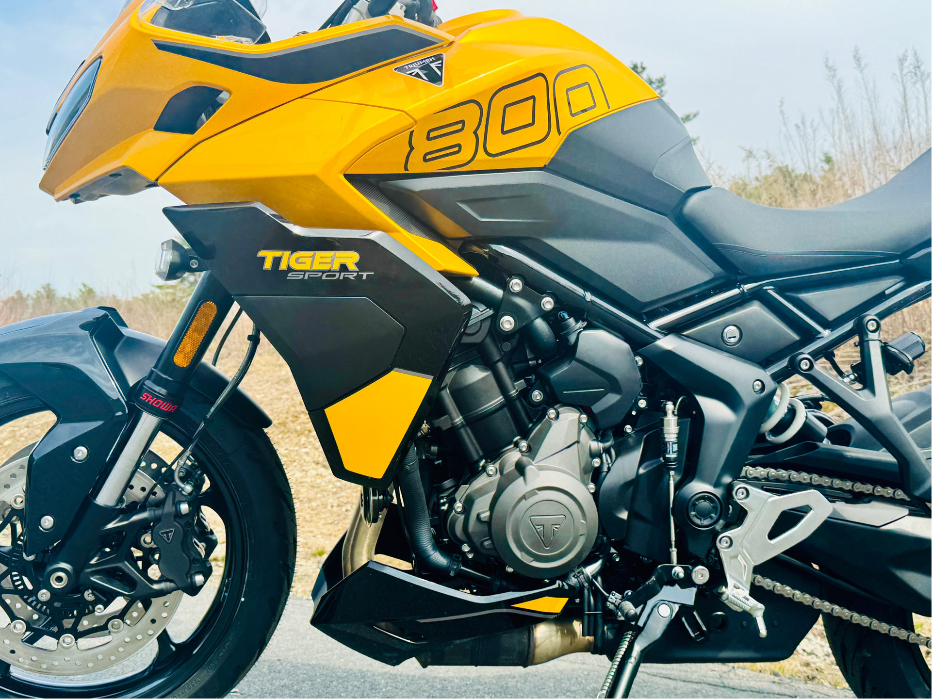 2025 Triumph Tiger Sport 800 in Foxboro, Massachusetts - Photo 16