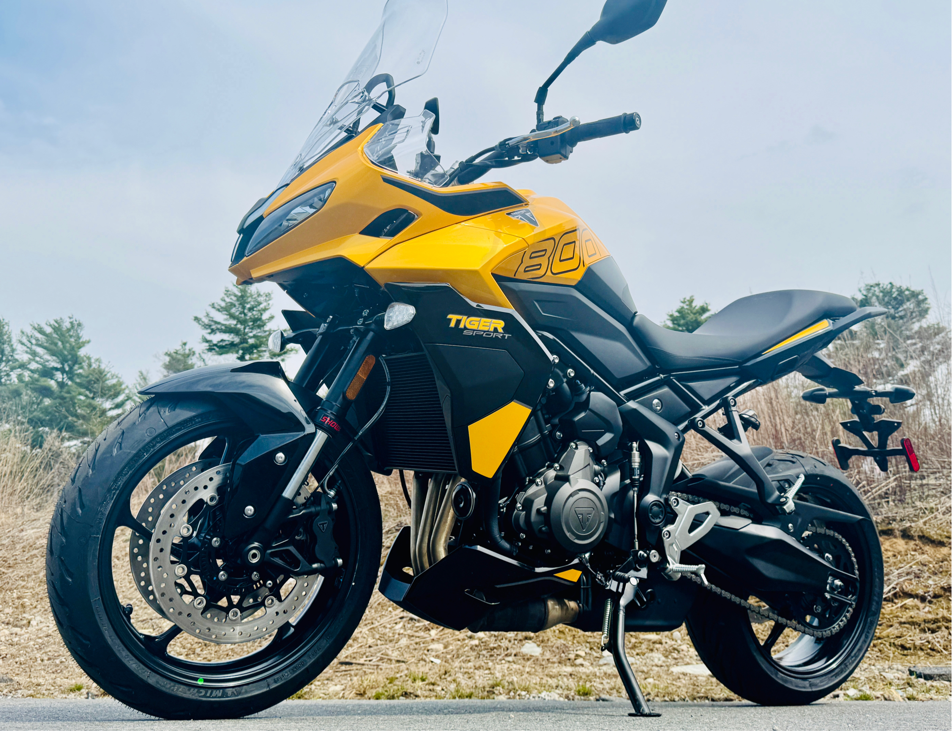 2025 Triumph Tiger Sport 800 in Foxboro, Massachusetts - Photo 1