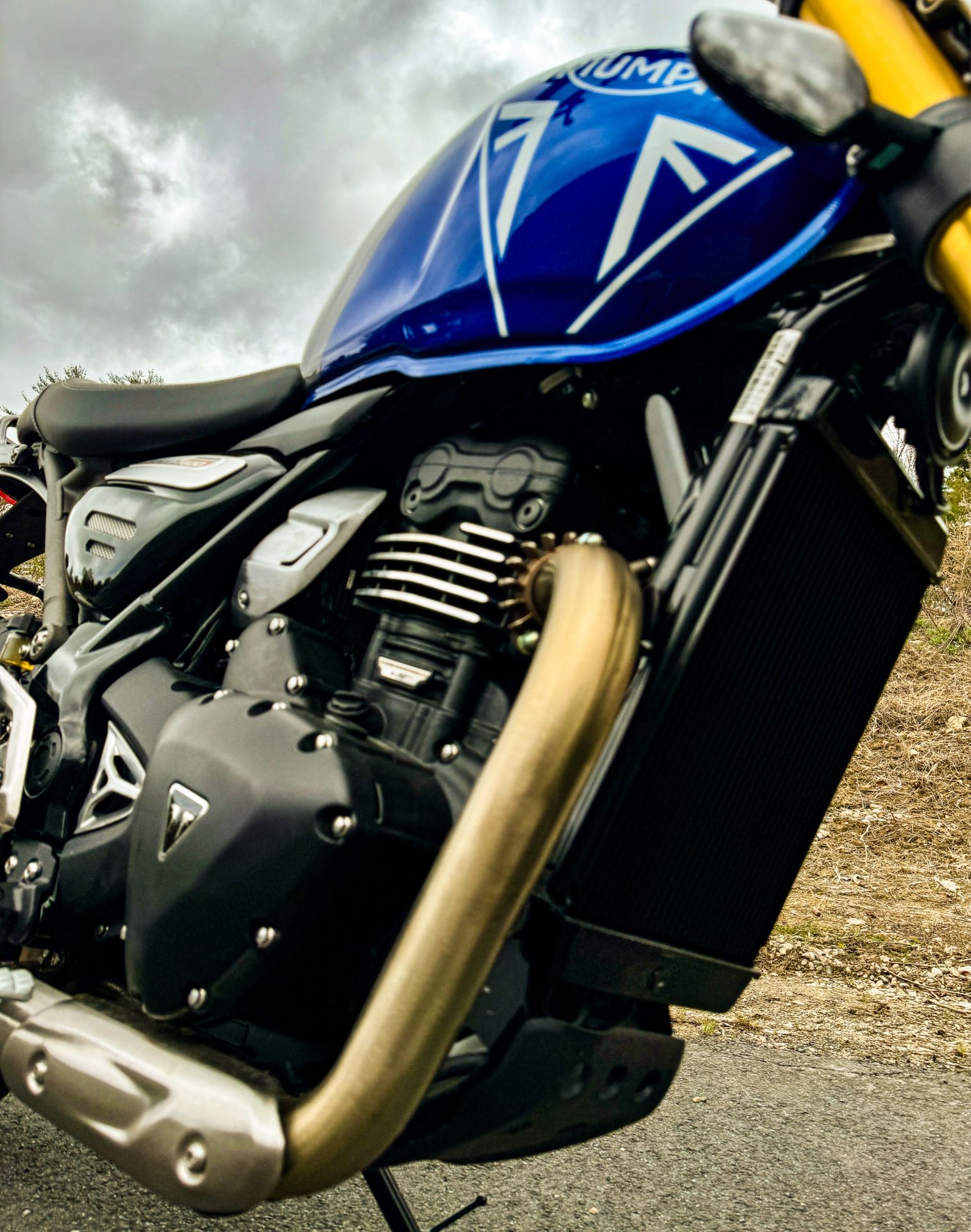 2024 Triumph Speed 400 in Foxboro, Massachusetts - Photo 12