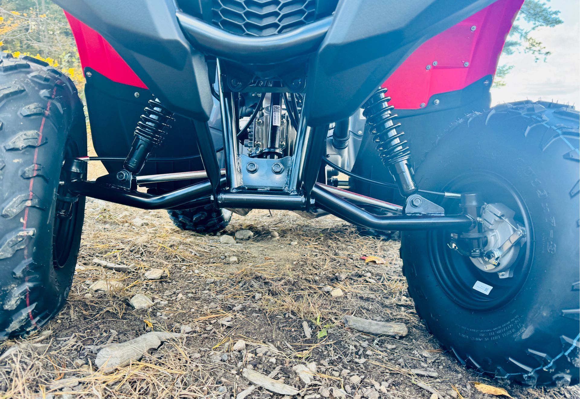 2025 Yamaha Grizzly 110 in Foxboro, Massachusetts - Photo 12