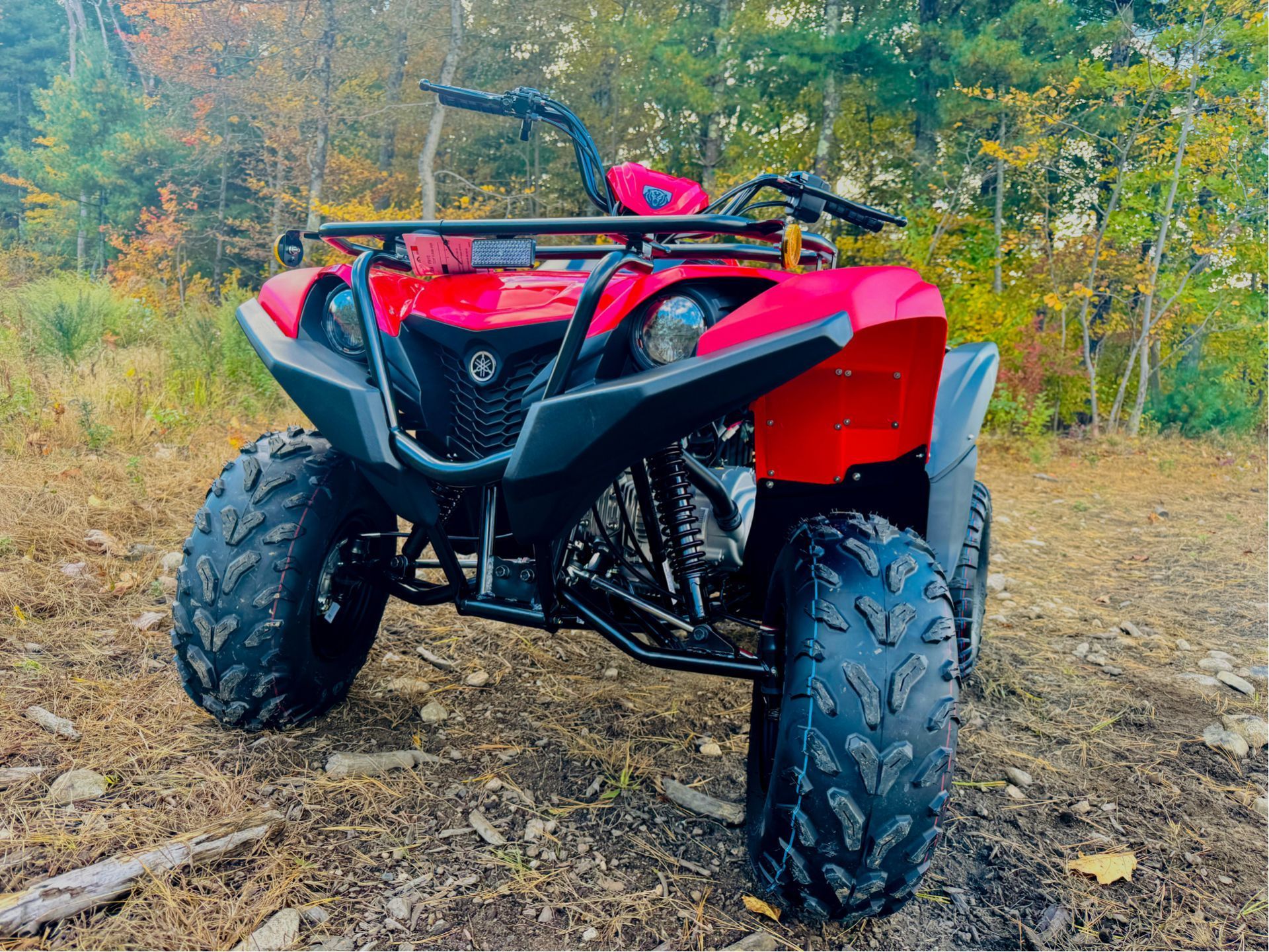 2025 Yamaha Grizzly 110 in Foxboro, Massachusetts - Photo 9