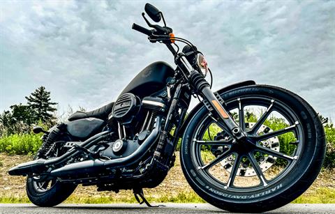 2022 Harley-Davidson Iron 883™ in Foxboro, Massachusetts - Photo 1