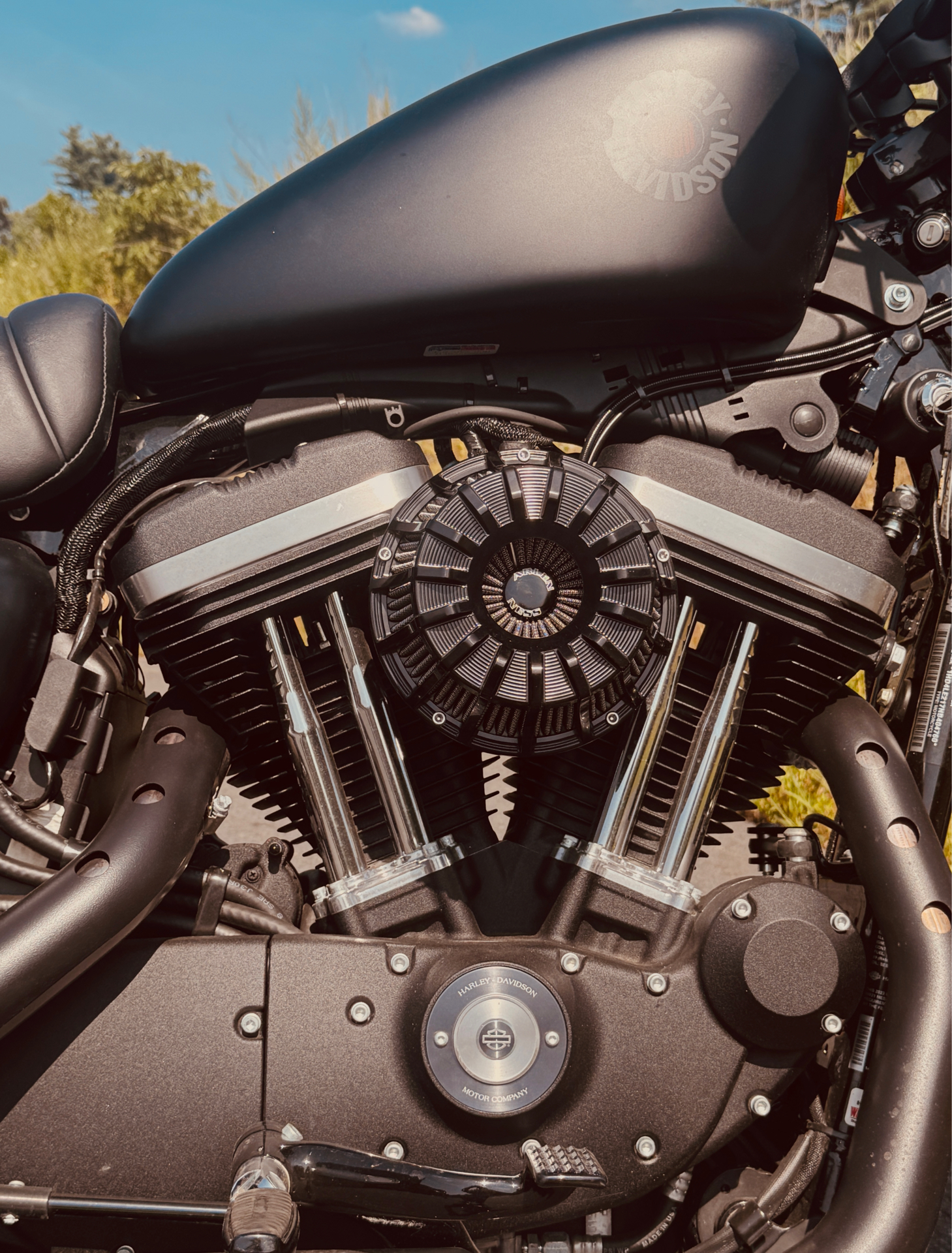 2022 Harley-Davidson Iron 883™ in Foxboro, Massachusetts - Photo 20
