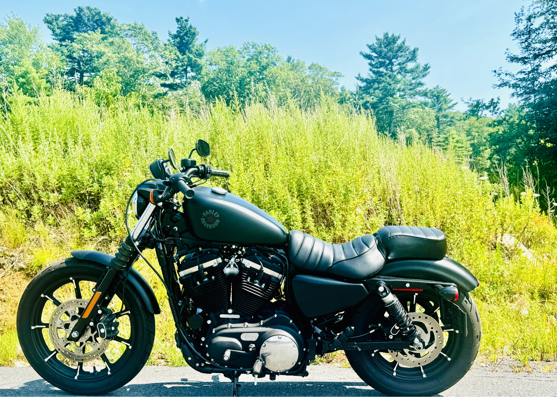 2022 Harley-Davidson Iron 883™ in Foxboro, Massachusetts - Photo 4
