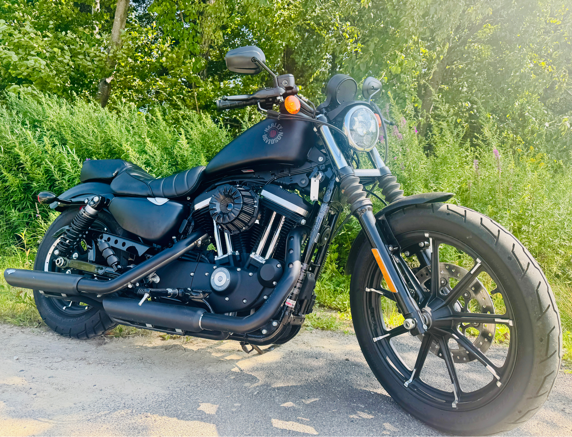 2022 Harley-Davidson Iron 883™ in Foxboro, Massachusetts - Photo 1