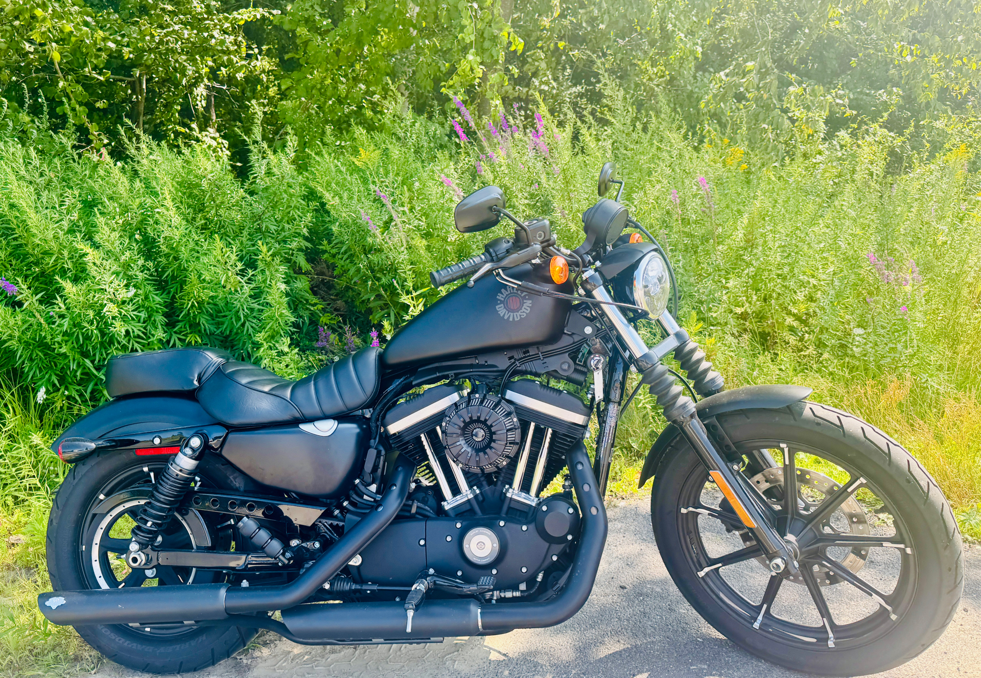 2022 Harley-Davidson Iron 883™ in Foxboro, Massachusetts - Photo 11