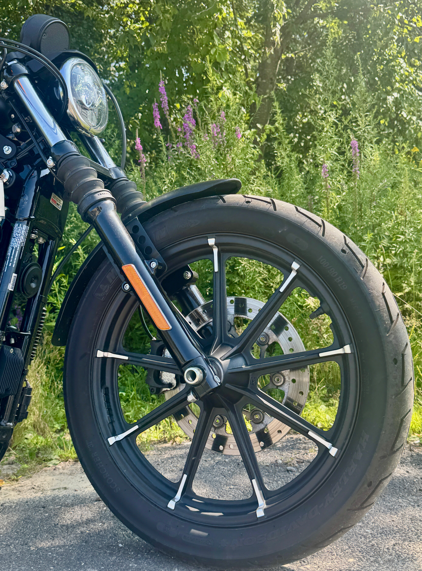 2022 Harley-Davidson Iron 883™ in Foxboro, Massachusetts - Photo 24