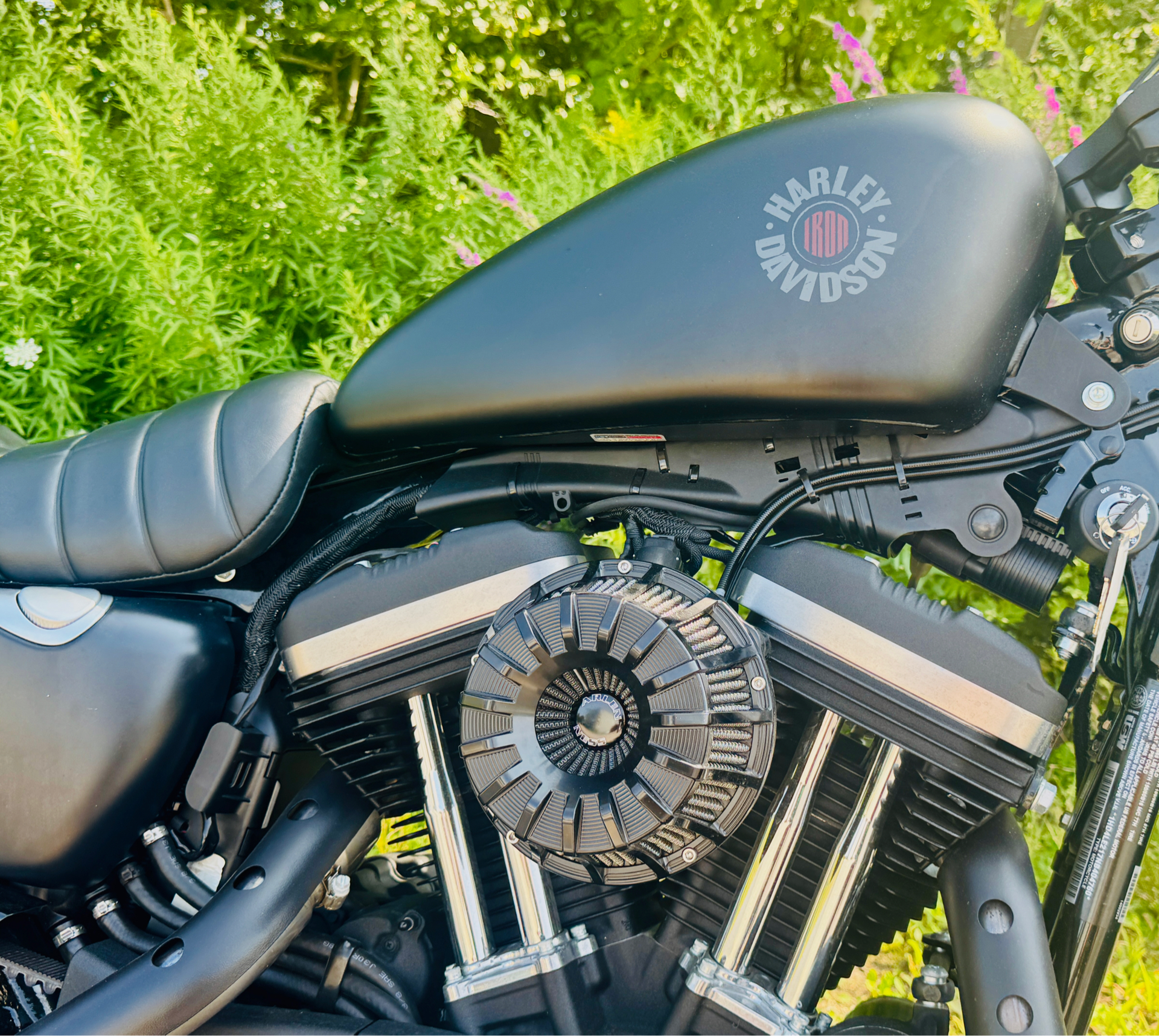 2022 Harley-Davidson Iron 883™ in Foxboro, Massachusetts - Photo 27