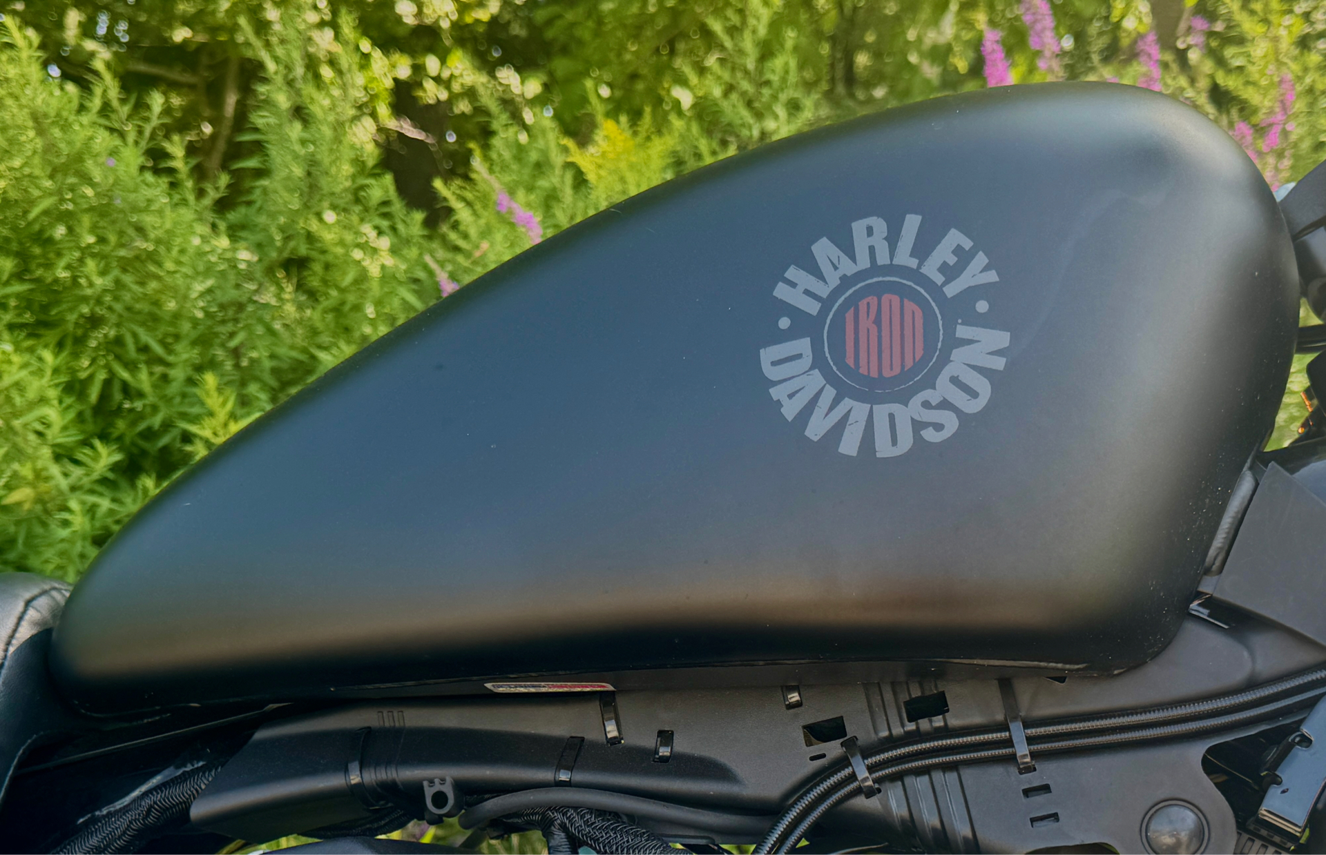 2022 Harley-Davidson Iron 883™ in Foxboro, Massachusetts - Photo 28