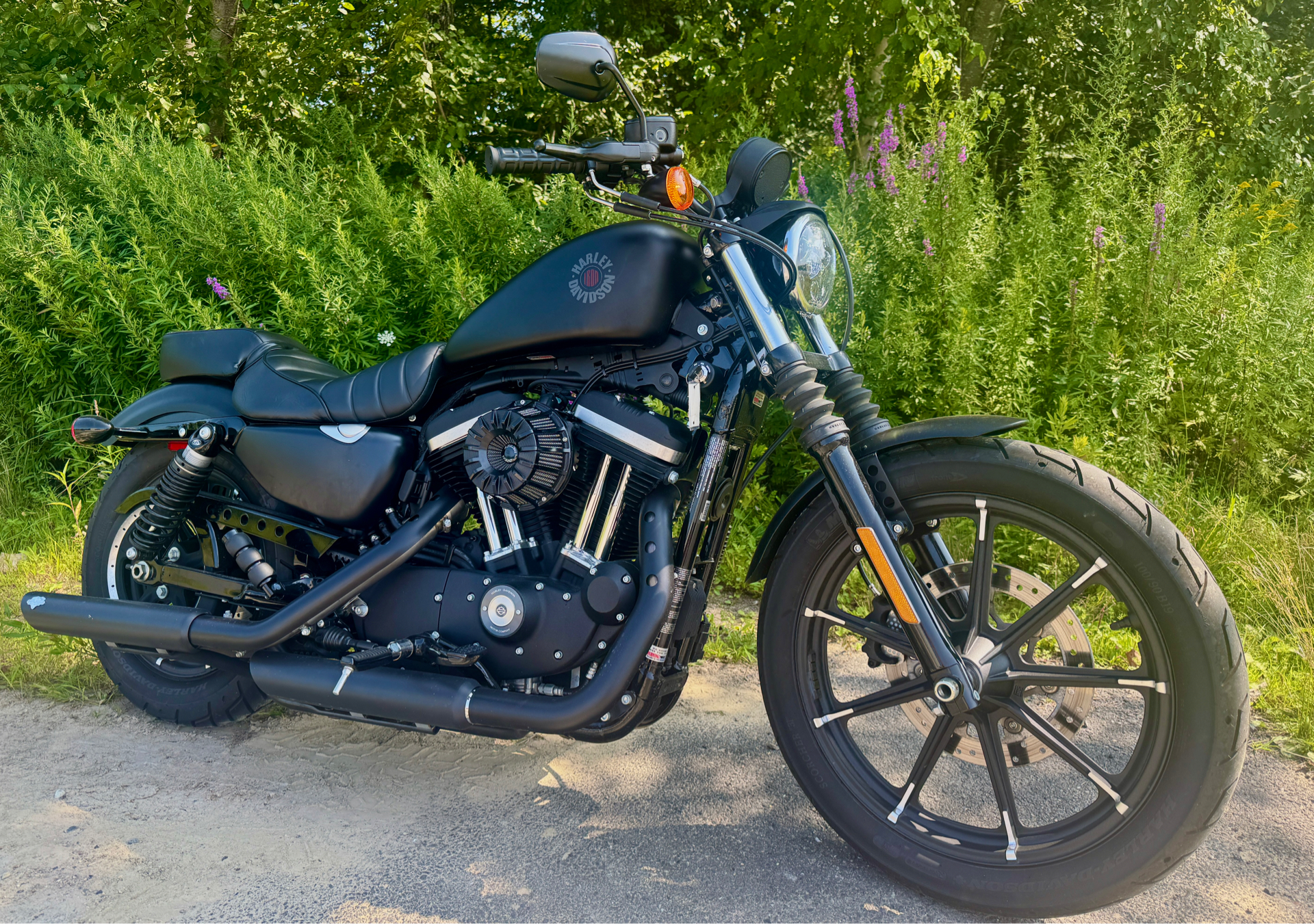 2022 Harley-Davidson Iron 883™ in Foxboro, Massachusetts - Photo 31