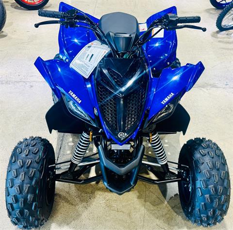 2025 Yamaha Raptor 110 in Foxboro, Massachusetts - Photo 5