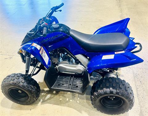 2025 Yamaha Raptor 110 in Foxboro, Massachusetts - Photo 9