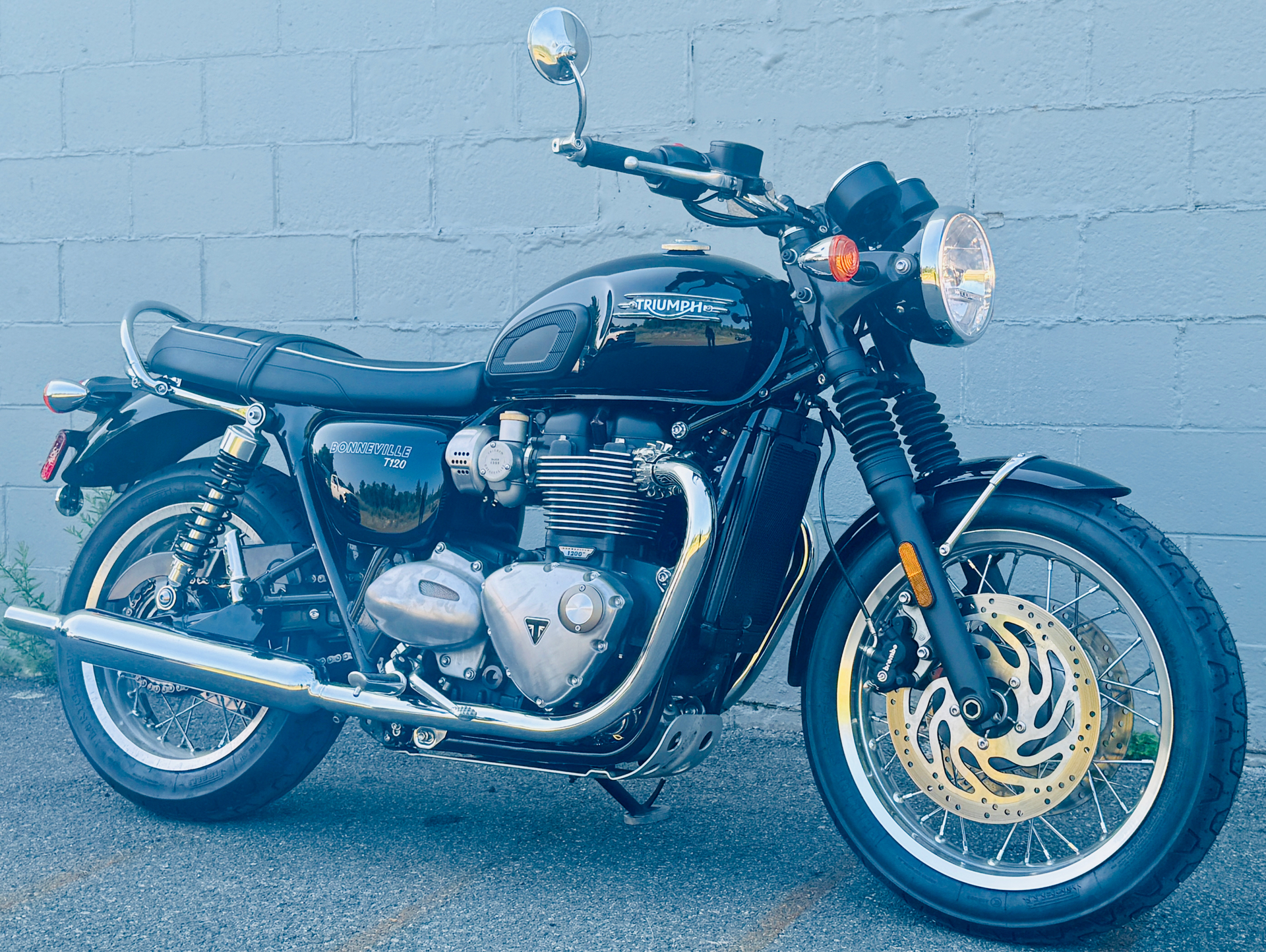2022 Triumph Bonneville T120 Black in Foxboro, Massachusetts - Photo 1
