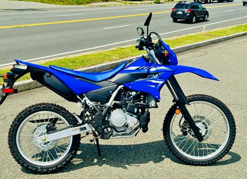 Shop Yamaha | MOMS Foxboro in Foxboro, MA