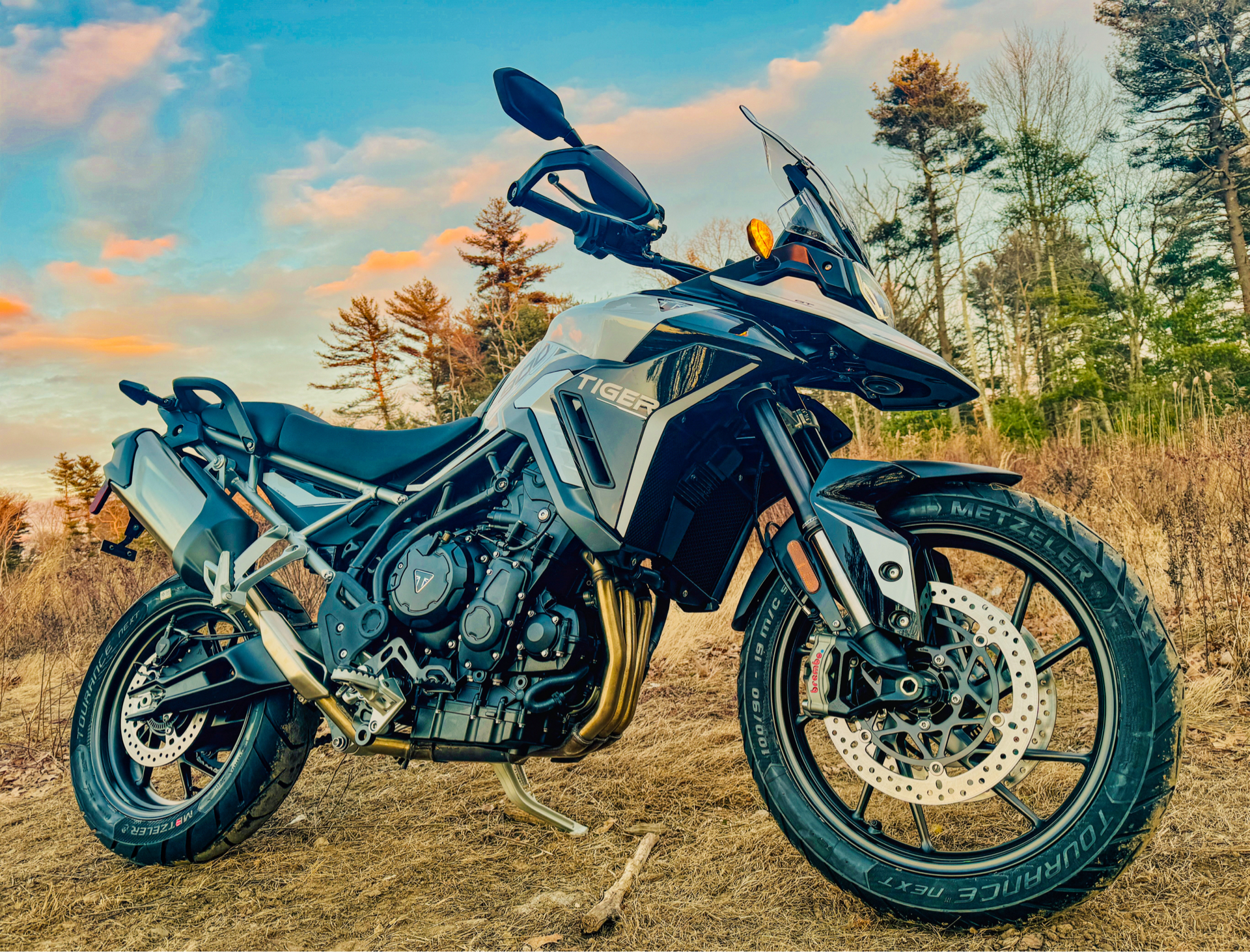 2024 Triumph Tiger 900 GT in Foxboro, Massachusetts - Photo 1